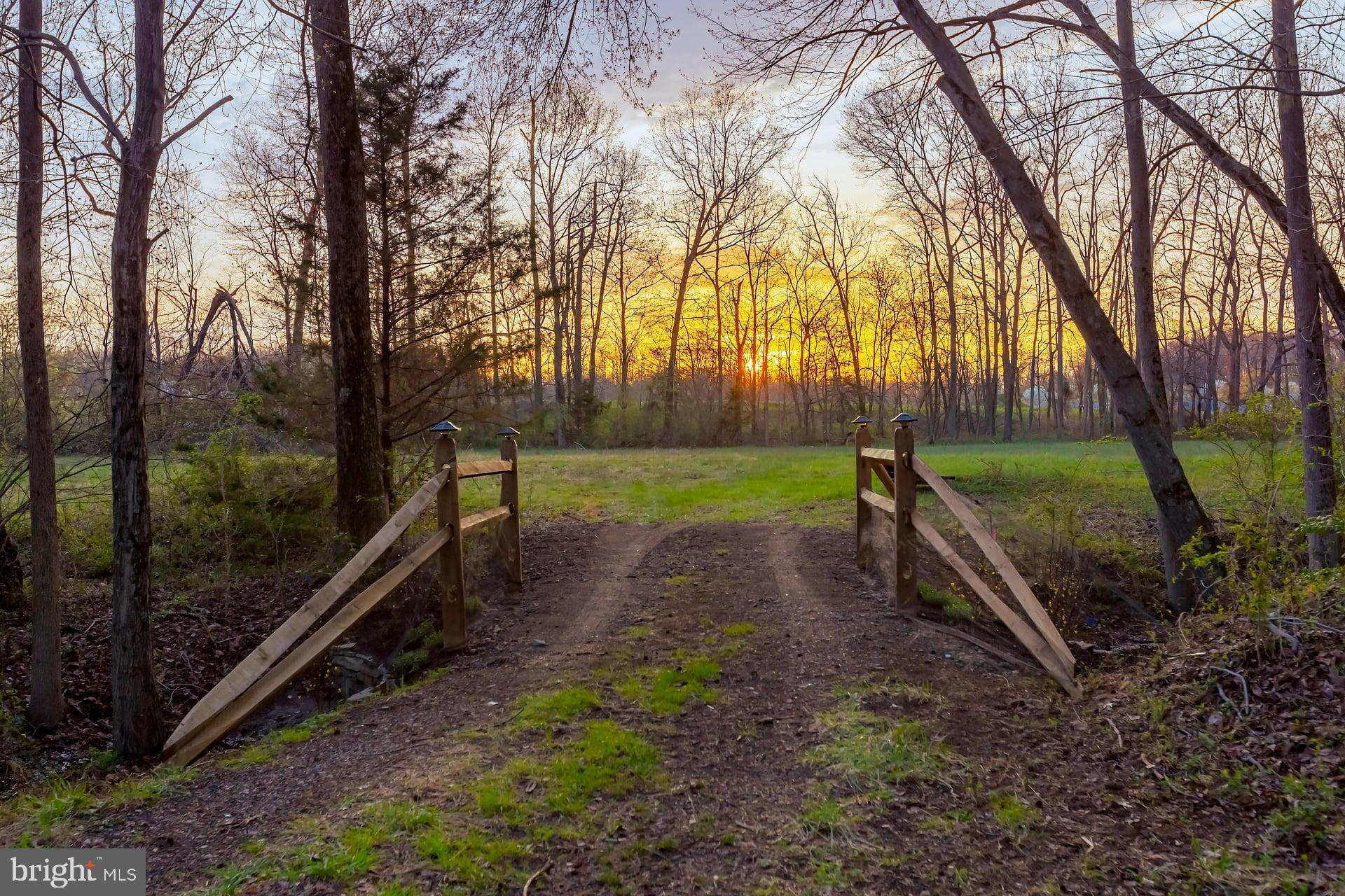a view of a park with large trees