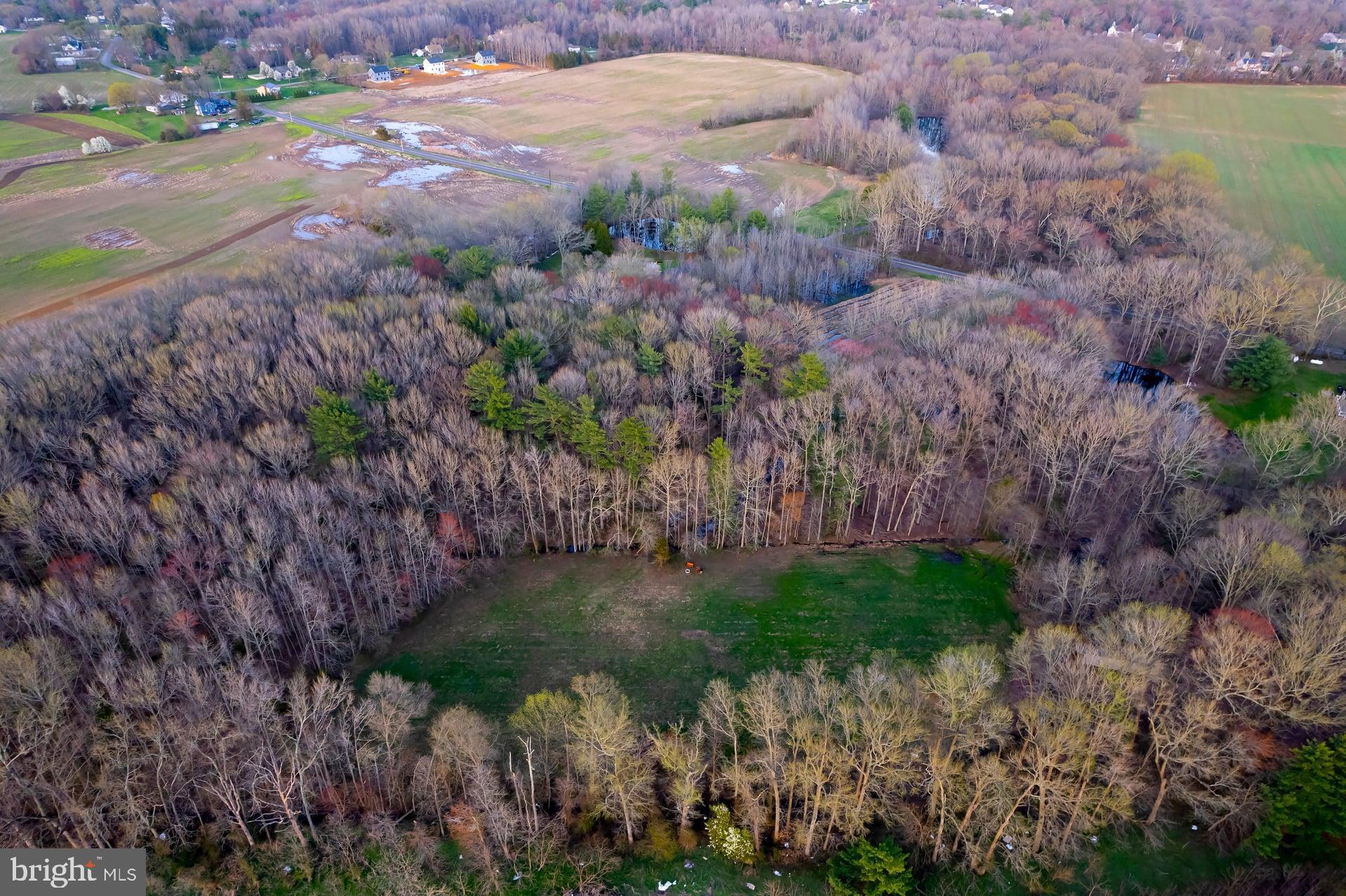 121 Moods Road Mullica Hill, NJ 08062 - Photo 11 of 22 a view of a garden with a pathway