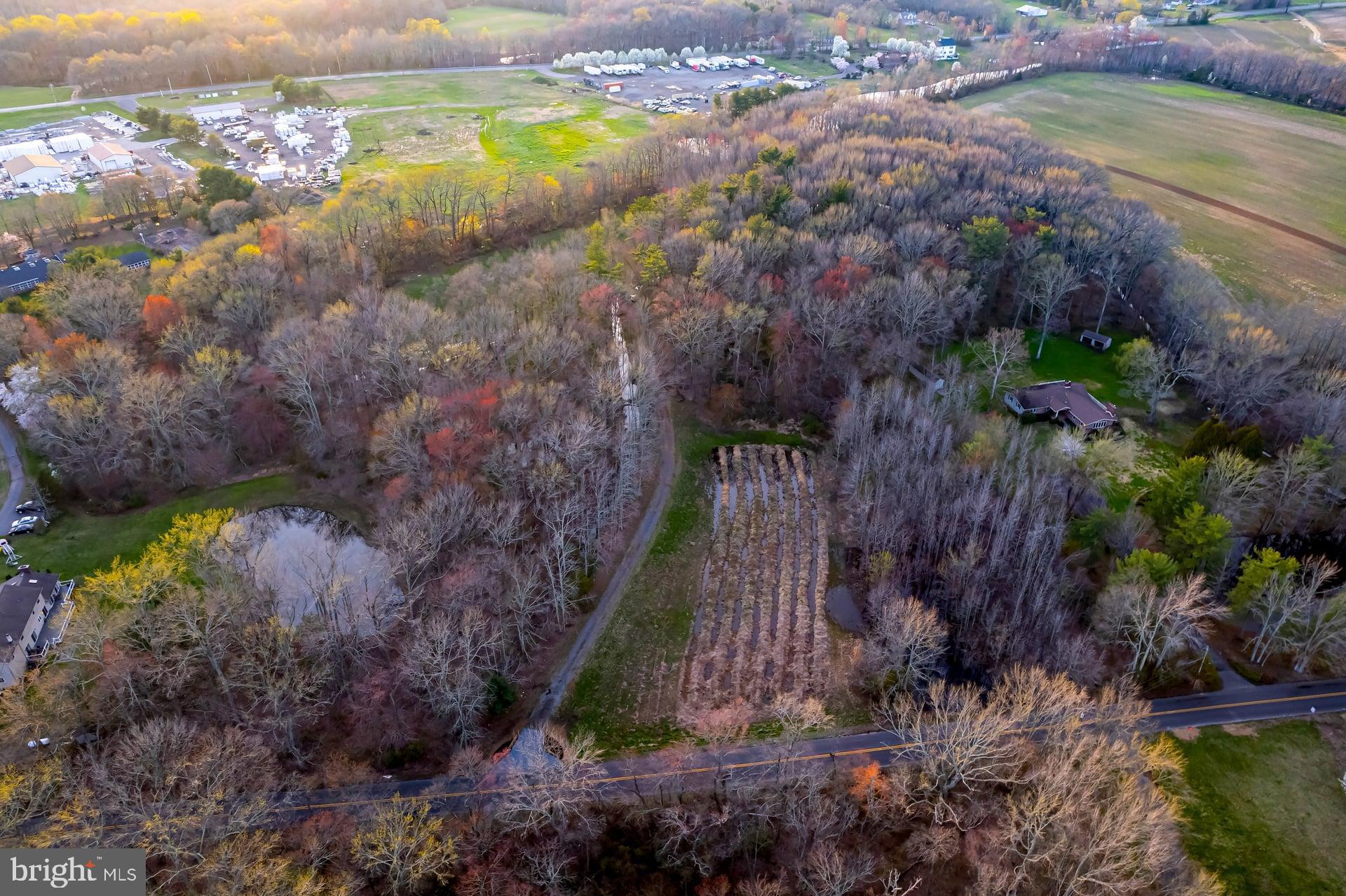 121 Moods Road Mullica Hill, NJ 08062 - Photo 16 of 22 a view of a yard with plants