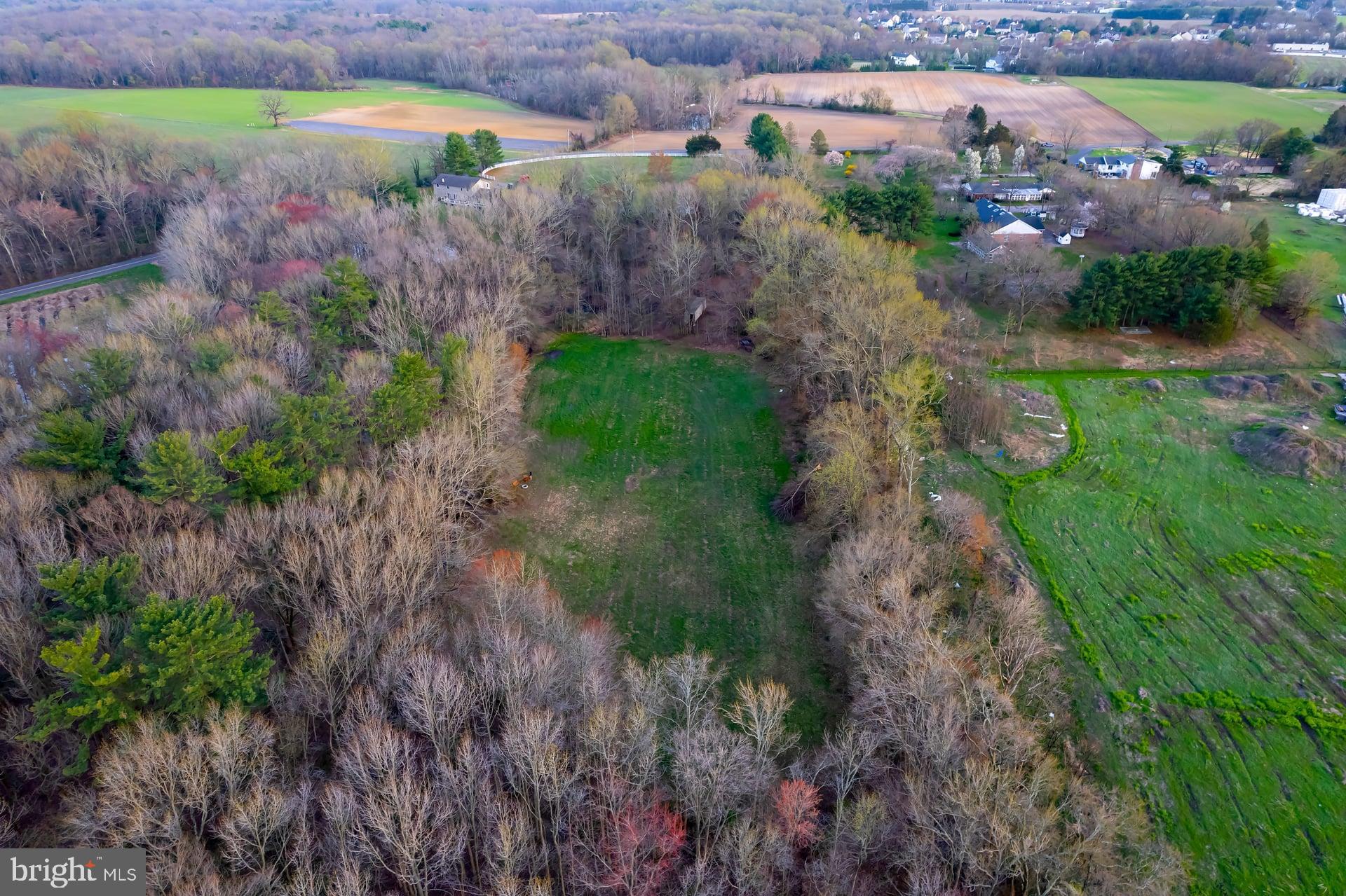 121 Moods Road Mullica Hill, NJ 08062 - Photo 7 of 22 a view of a yard with plants and large trees