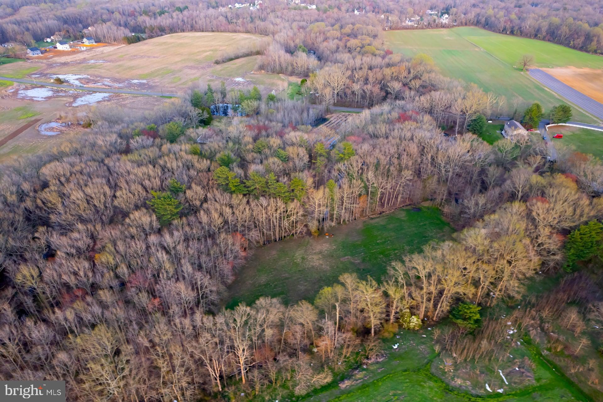 121 Moods Road Mullica Hill, NJ 08062 - Photo 8 of 22 a view of a garden with a yard
