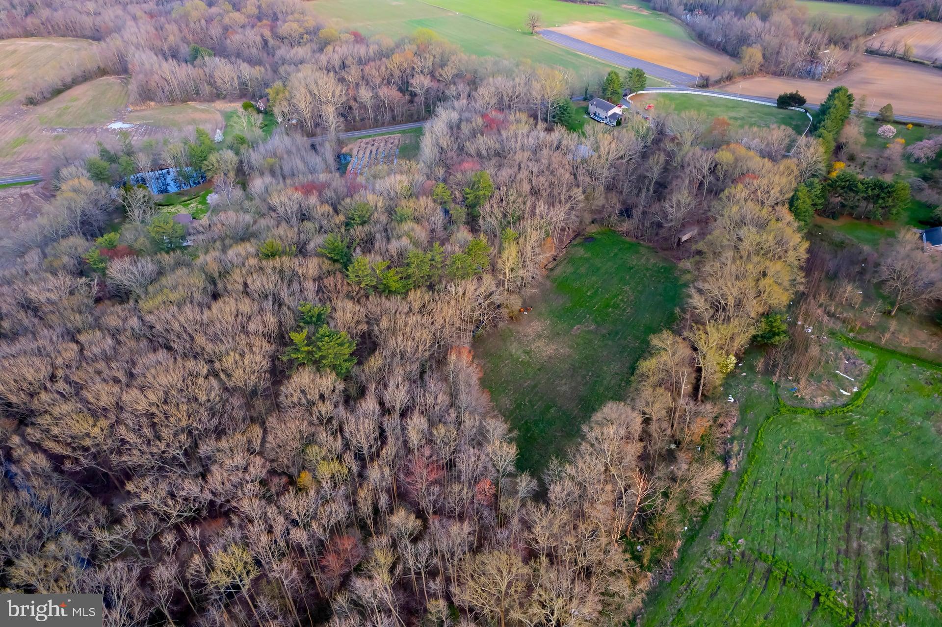 121 Moods Road Mullica Hill, NJ 08062 - Photo 10 of 22 a view of a garden with plants and flowers