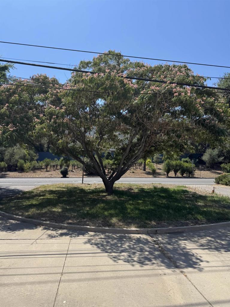 9168 Old Castle Road Valley Center, CA 92082 - Photo 3 of 14 a view of a yard with a large tree