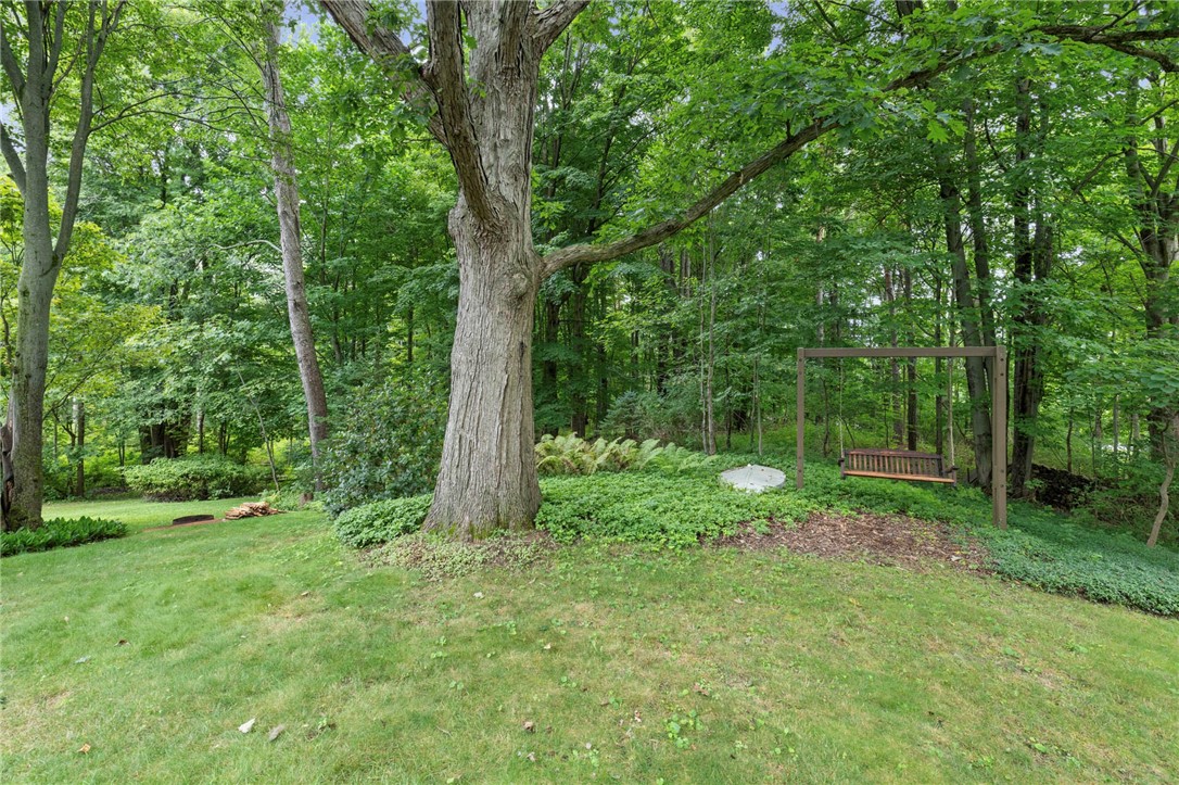693 Ashdon Circle Webster, NY 14580 - Photo 47 of 50 Back yard