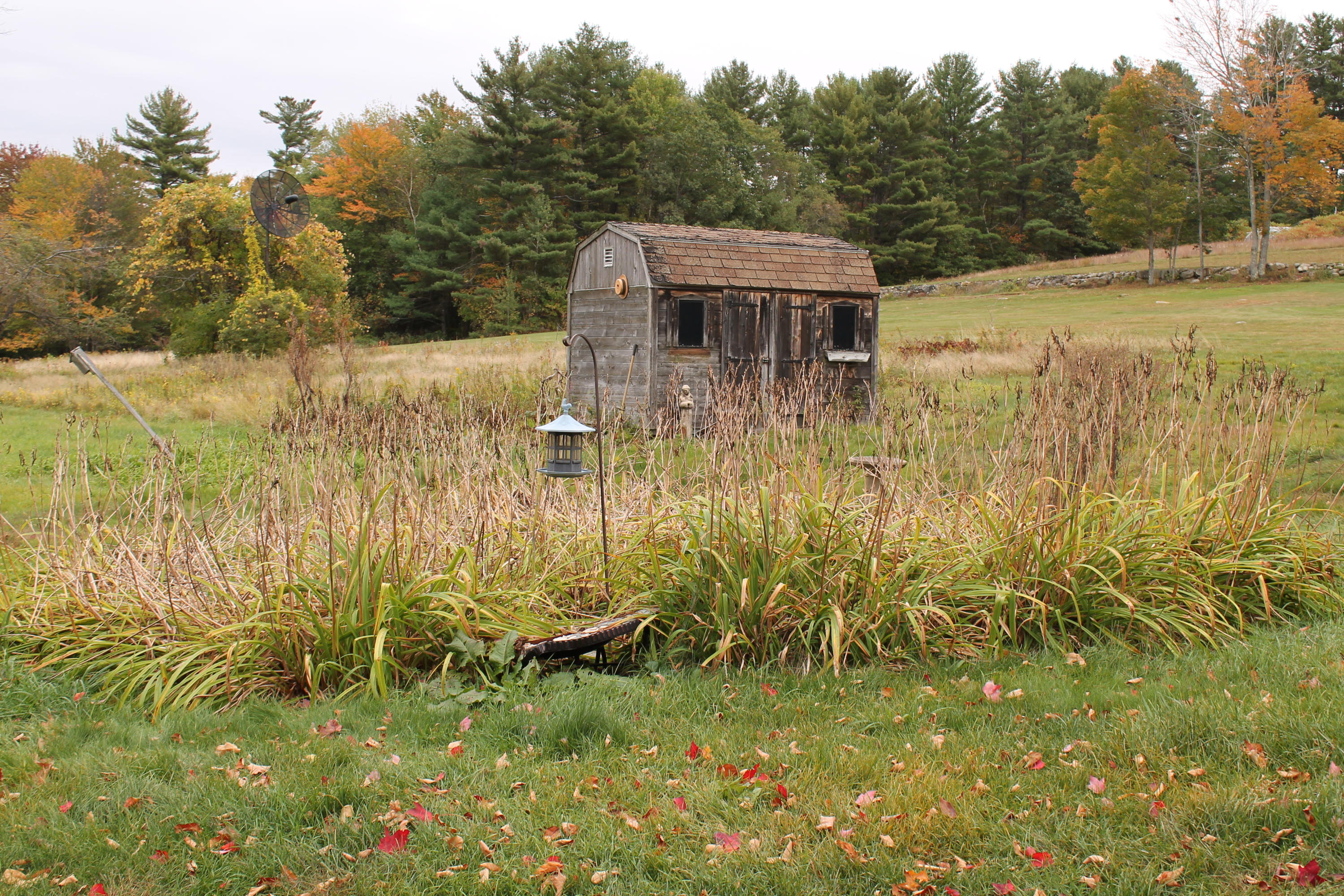 12 Libby Road West Newfield, ME 04095 - Photo 25 of 30 2019-10-06 10.53.04