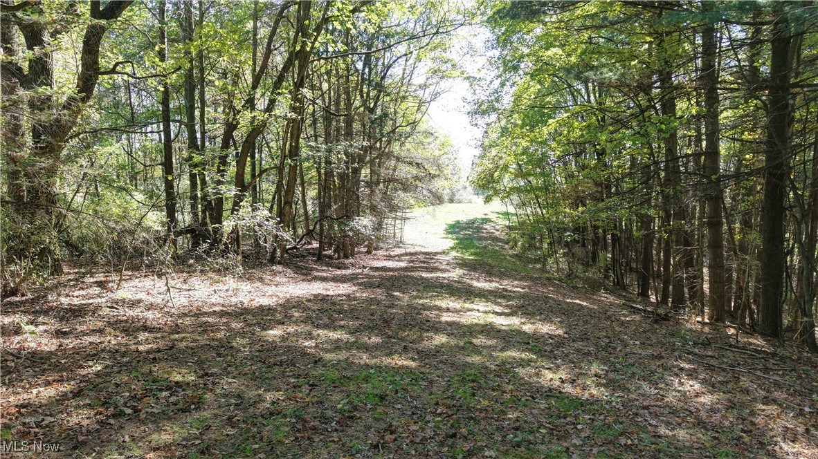 577 May Valley Road Southwest New Philadelphia, OH 44663 - Photo 26 of 40 Gallery Image 26