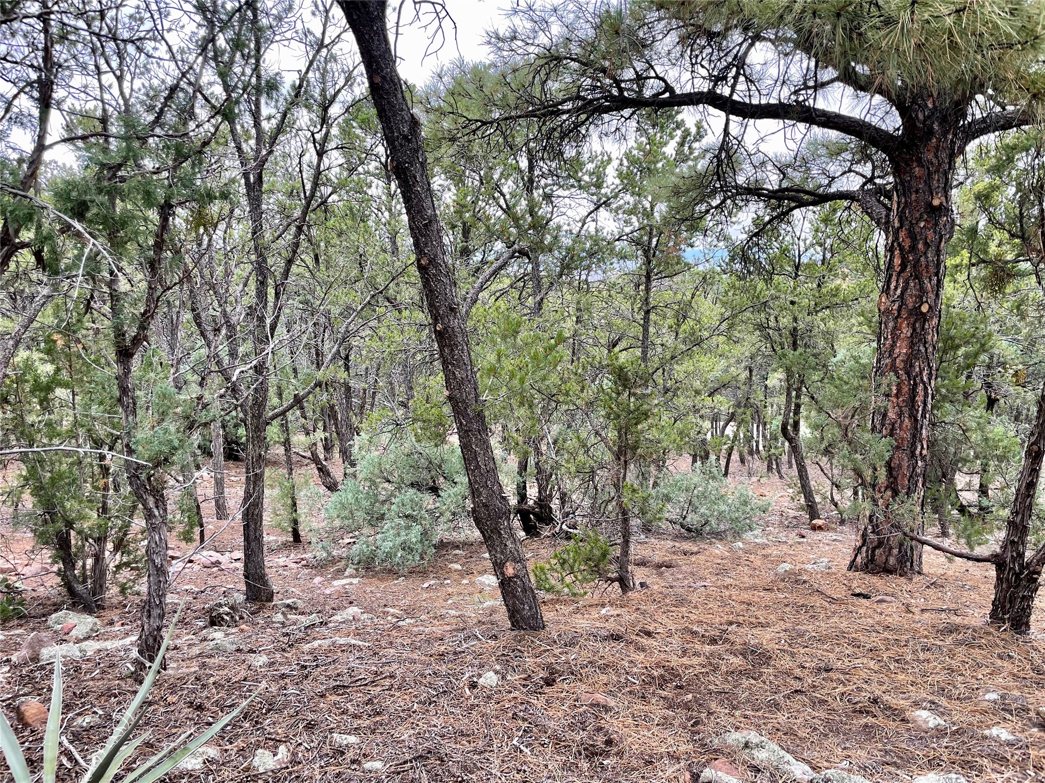 1083 South Summit Ridge, Unit LOT 3 Santa Fe, NM 87501 - Photo 2 of 70