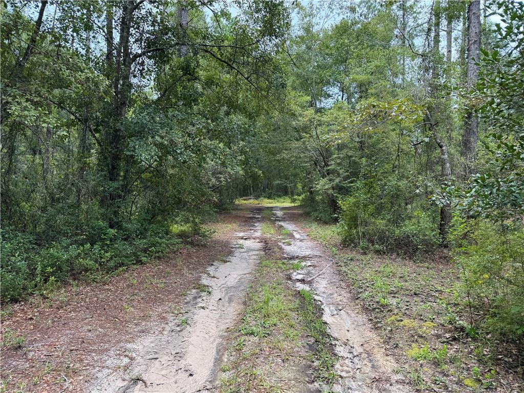 288 Rattler Run Hortense, GA 31543 - Photo 1 of 1 Gallery Image 1