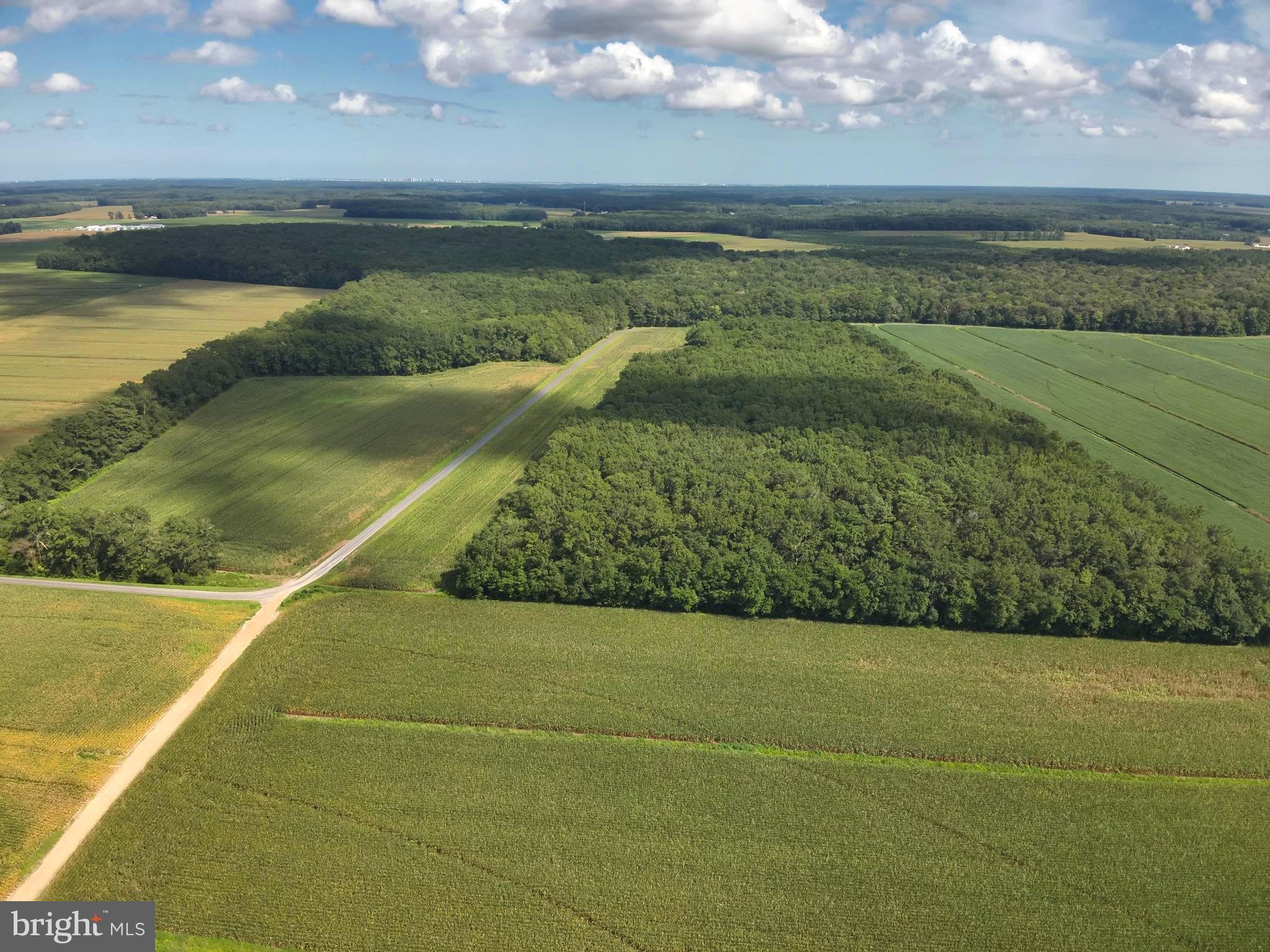 Blueberry Road Whaleyville, MD 21872 - Photo 11 of 46 a view of an outdoor space and lakeside