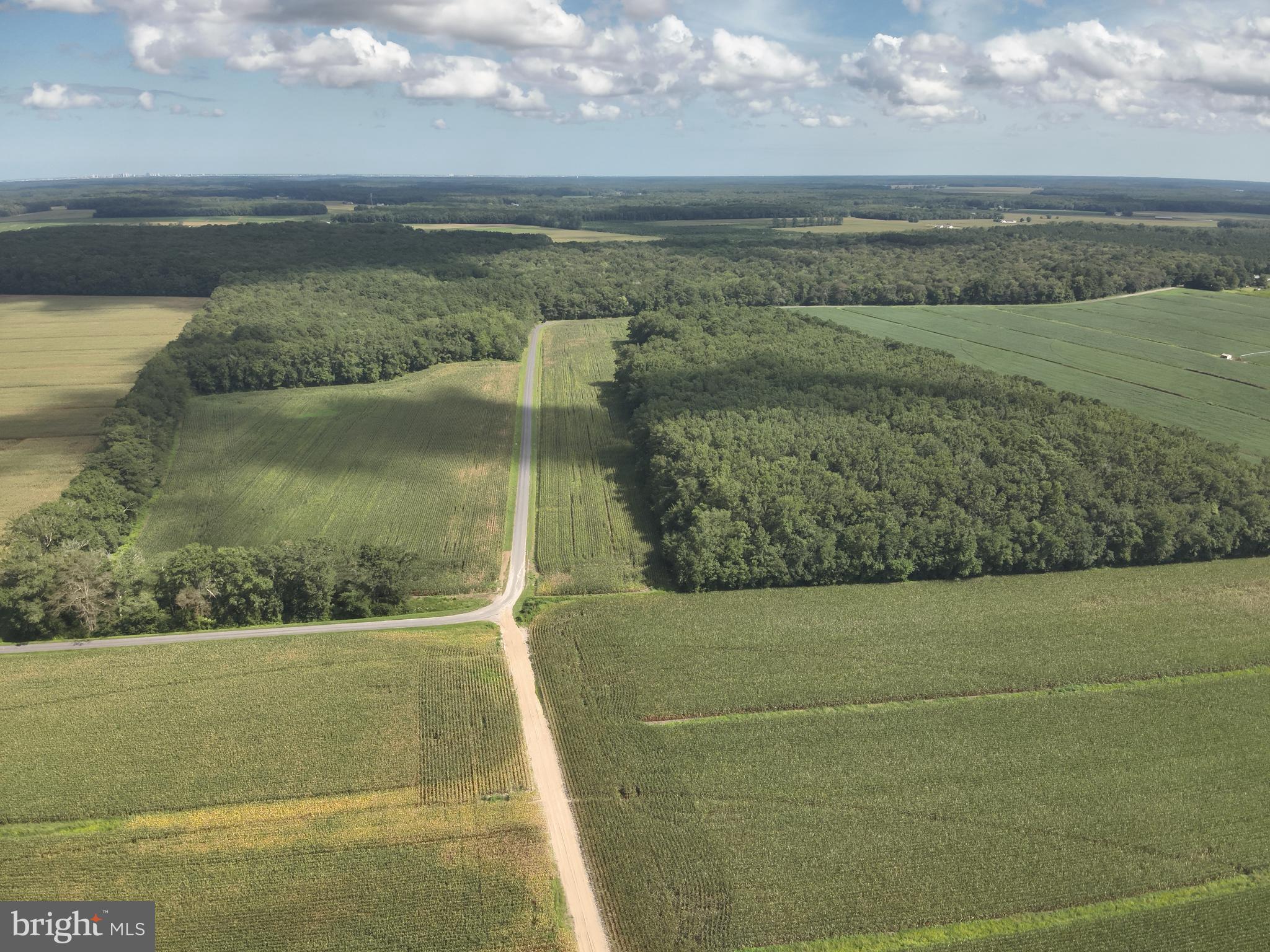 Blueberry Road Whaleyville, MD 21872 - Photo 12 of 46 a view of a lake view