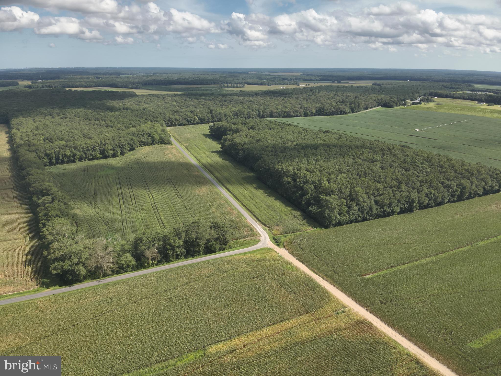 Blueberry Road Whaleyville, MD 21872 - Photo 13 of 46 a view of a lake view