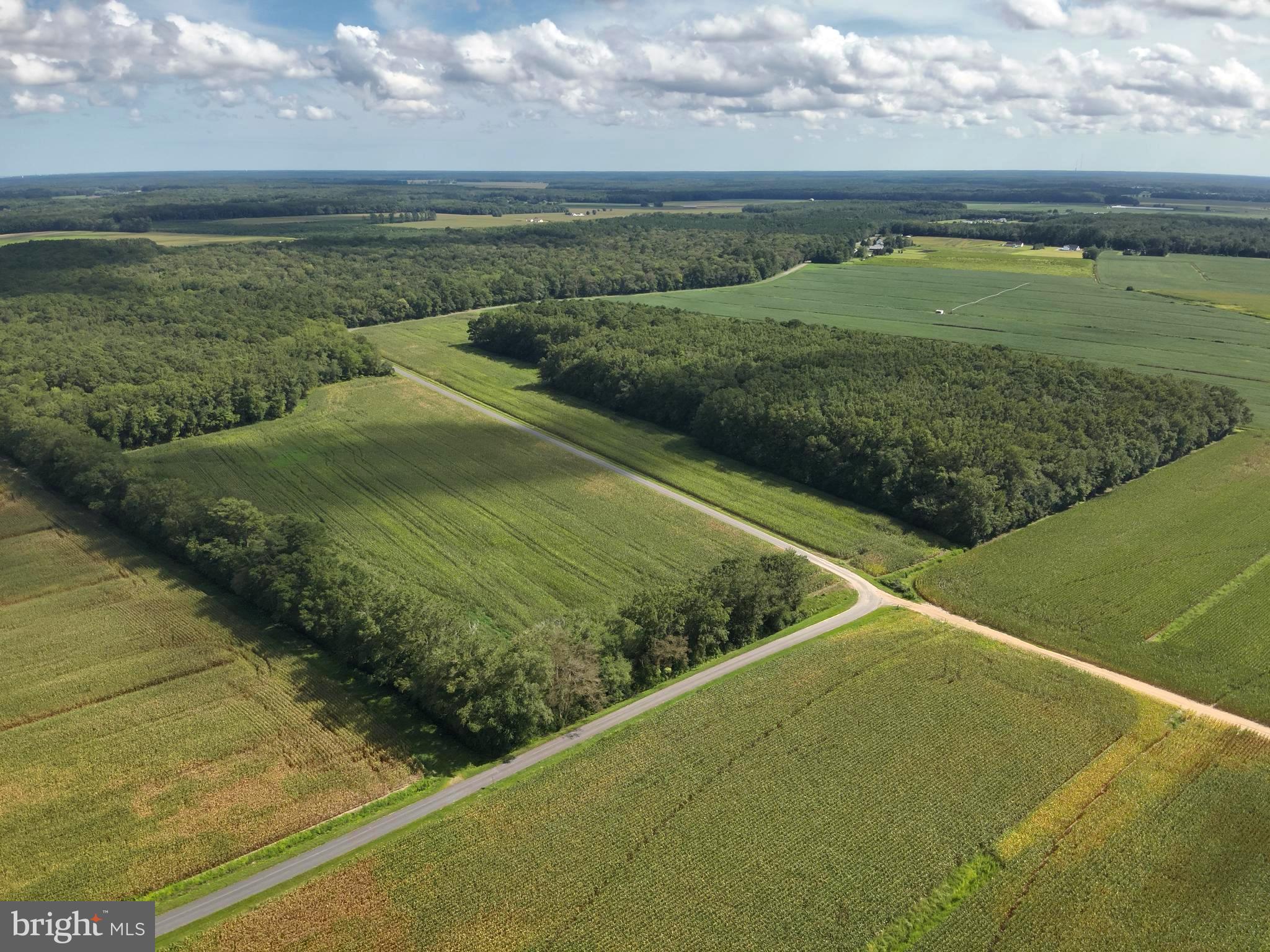 Blueberry Road Whaleyville, MD 21872 - Photo 14 of 46 a view of a field with an ocean