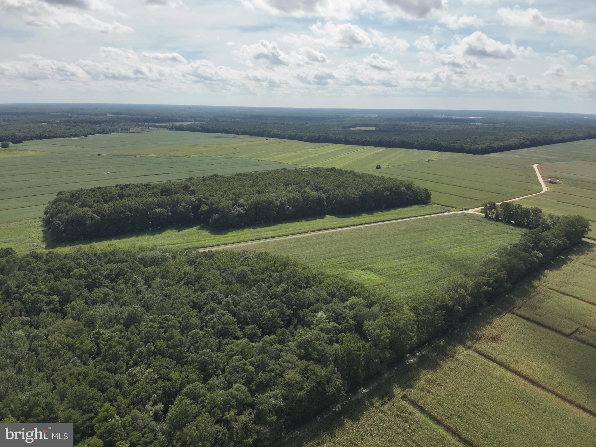 Blueberry Road Whaleyville, MD 21872 - Photo 16 of 46 a view of an ocean and beach