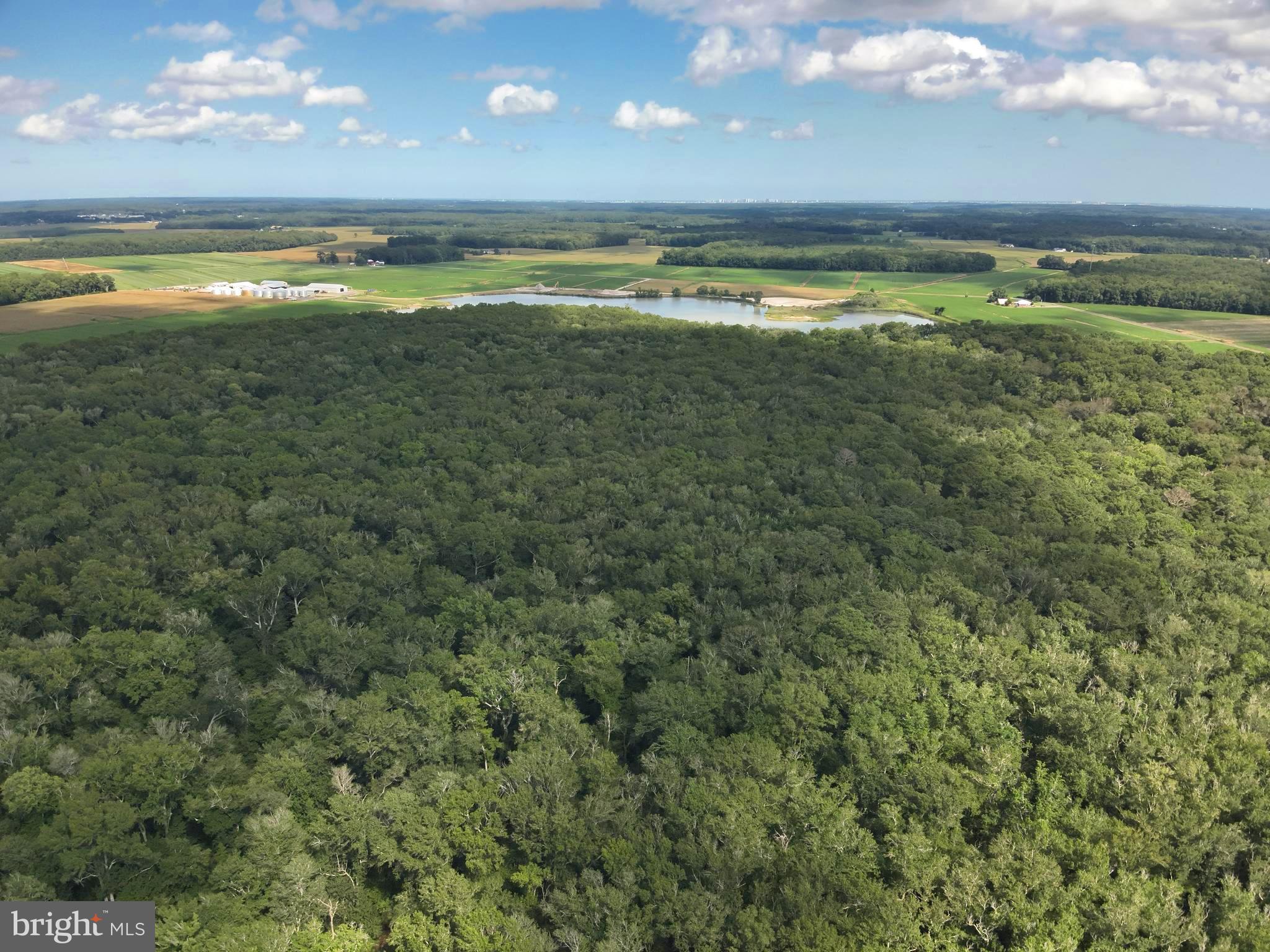 Blueberry Road Whaleyville, MD 21872 - Photo 17 of 46 a view of an ocean and a yard
