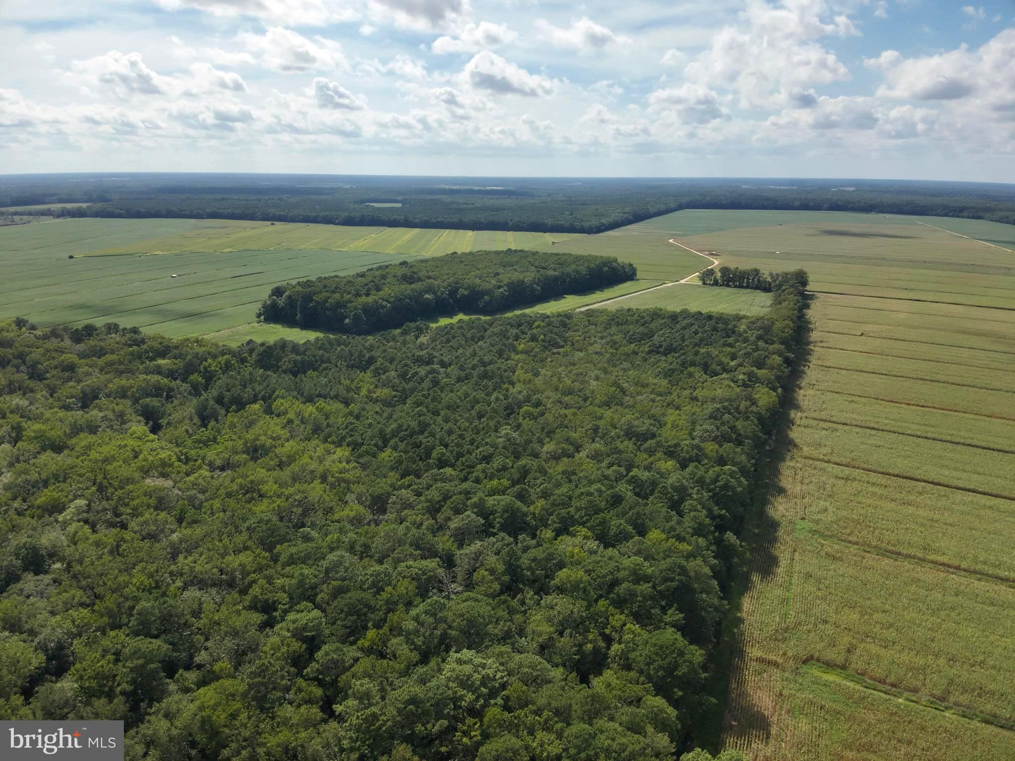 Blueberry Road Whaleyville, MD 21872 - Photo 18 of 46