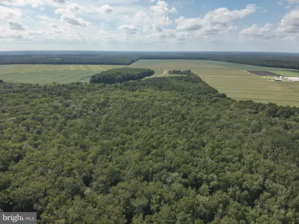 a view of a lake and mountain