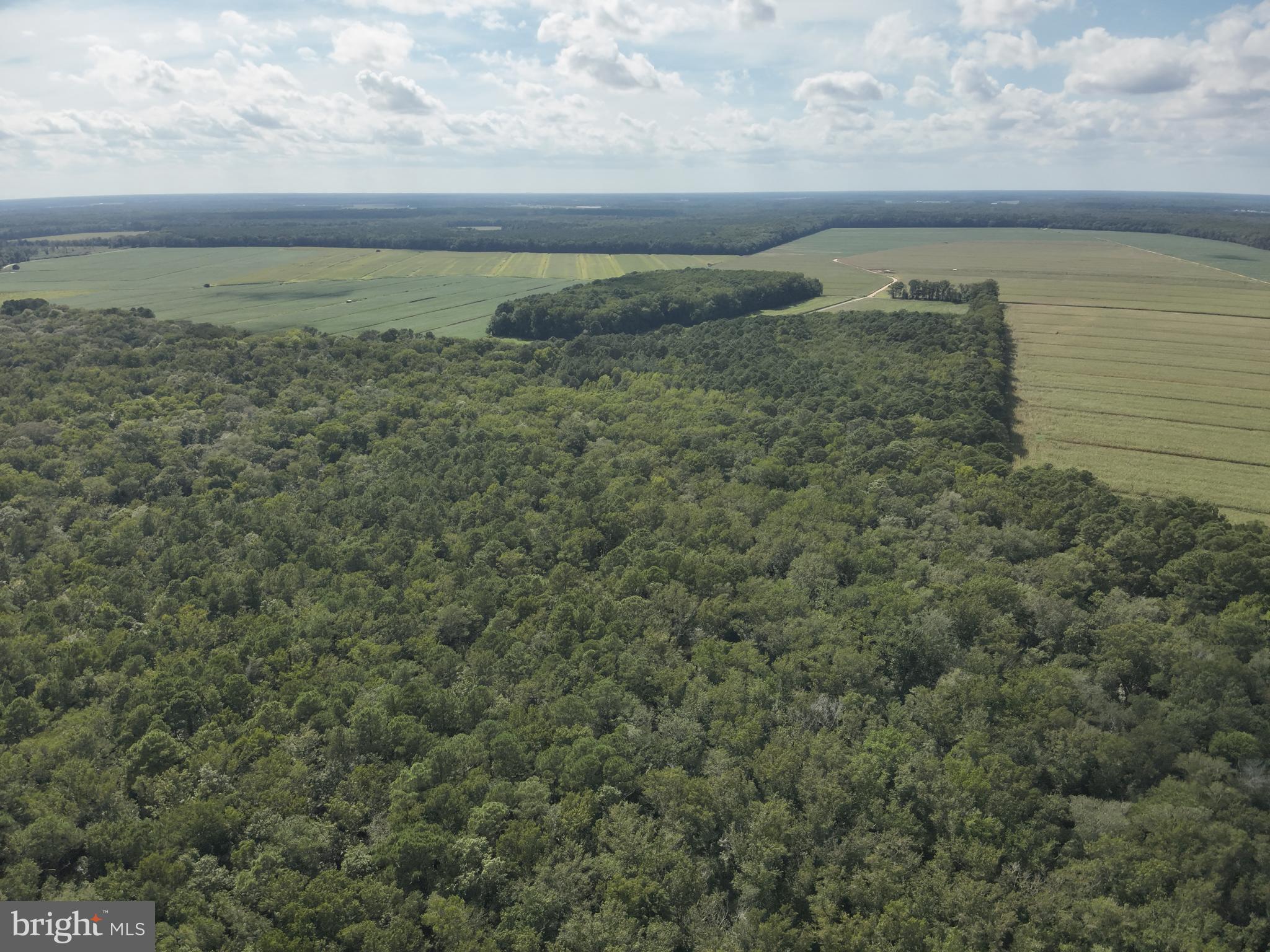 Blueberry Road Whaleyville, MD 21872 - Photo 20 of 46 a view of a lake and mountain