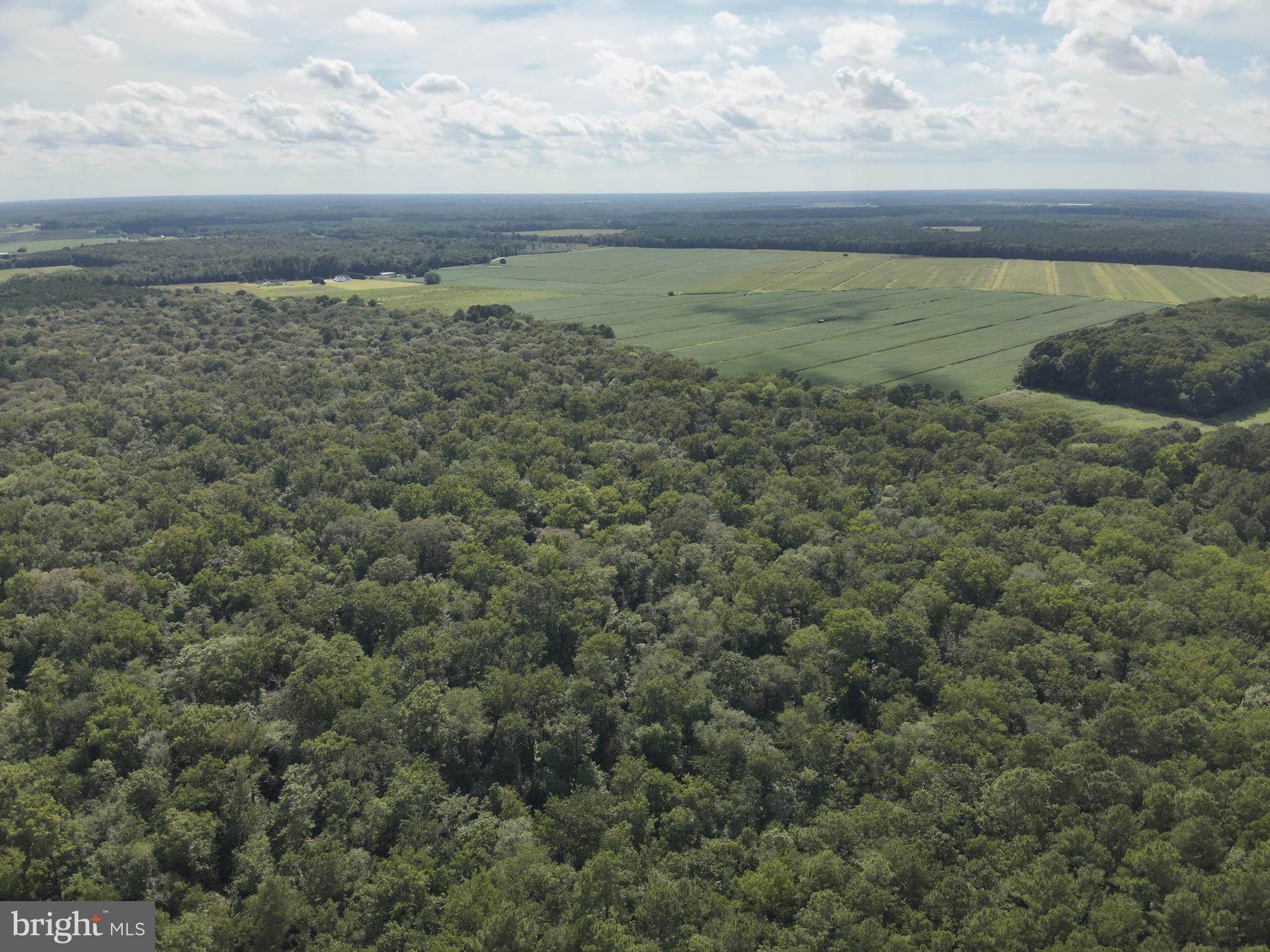 Blueberry Road Whaleyville, MD 21872 - Photo 21 of 46 a view of a yard with an ocean beach