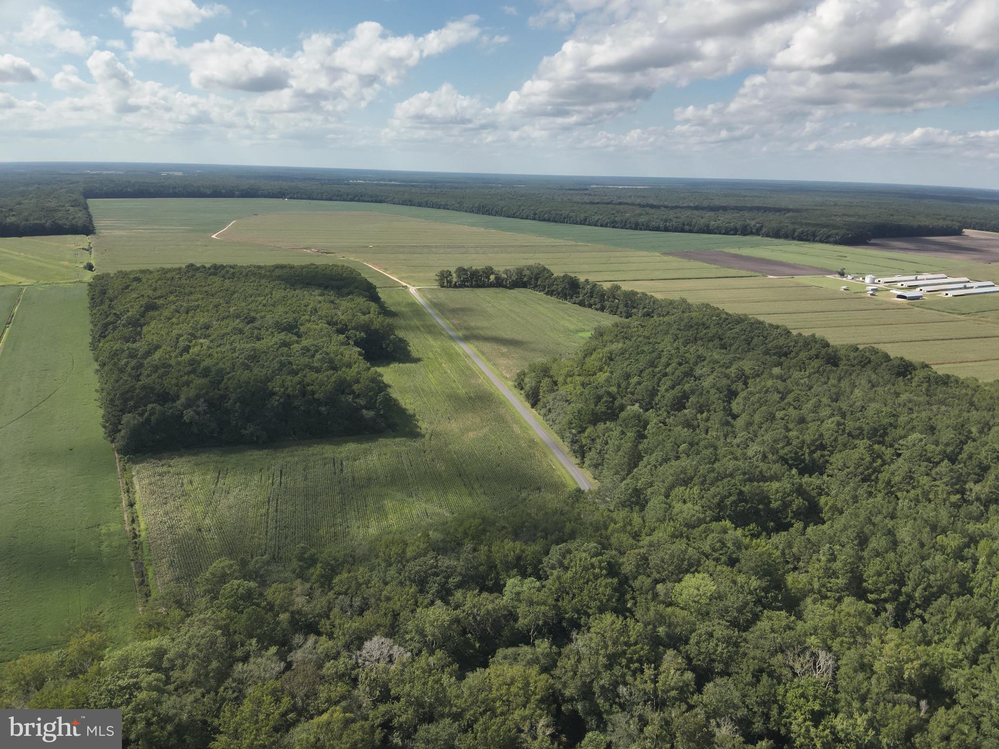Blueberry Road Whaleyville, MD 21872 - Photo 22 of 46 a view of an ocean and beach