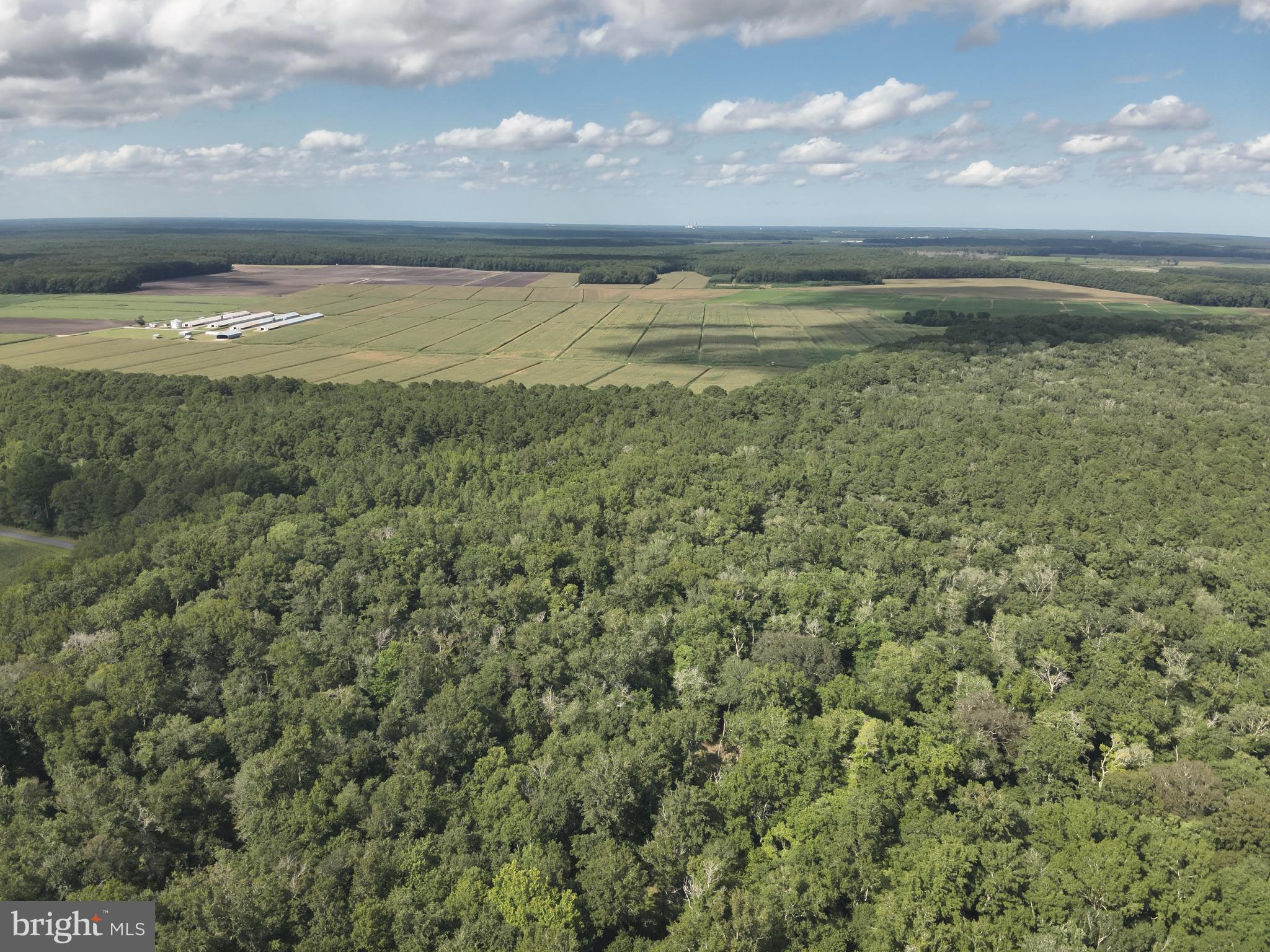 Blueberry Road Whaleyville, MD 21872 - Photo 23 of 46 a view of an ocean