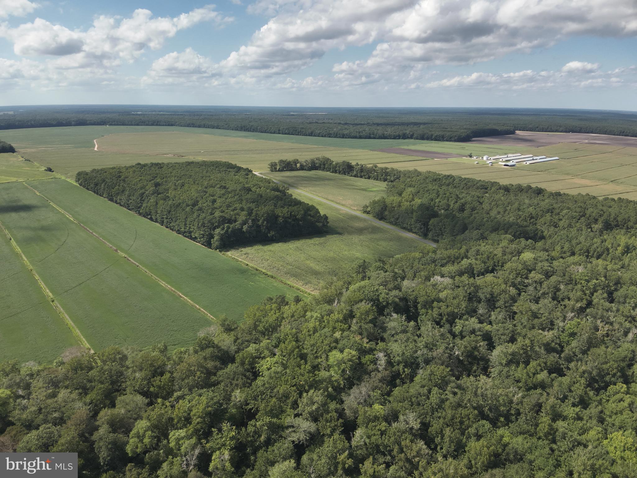 Blueberry Road Whaleyville, MD 21872 - Photo 24 of 46 a view of an ocean and beach