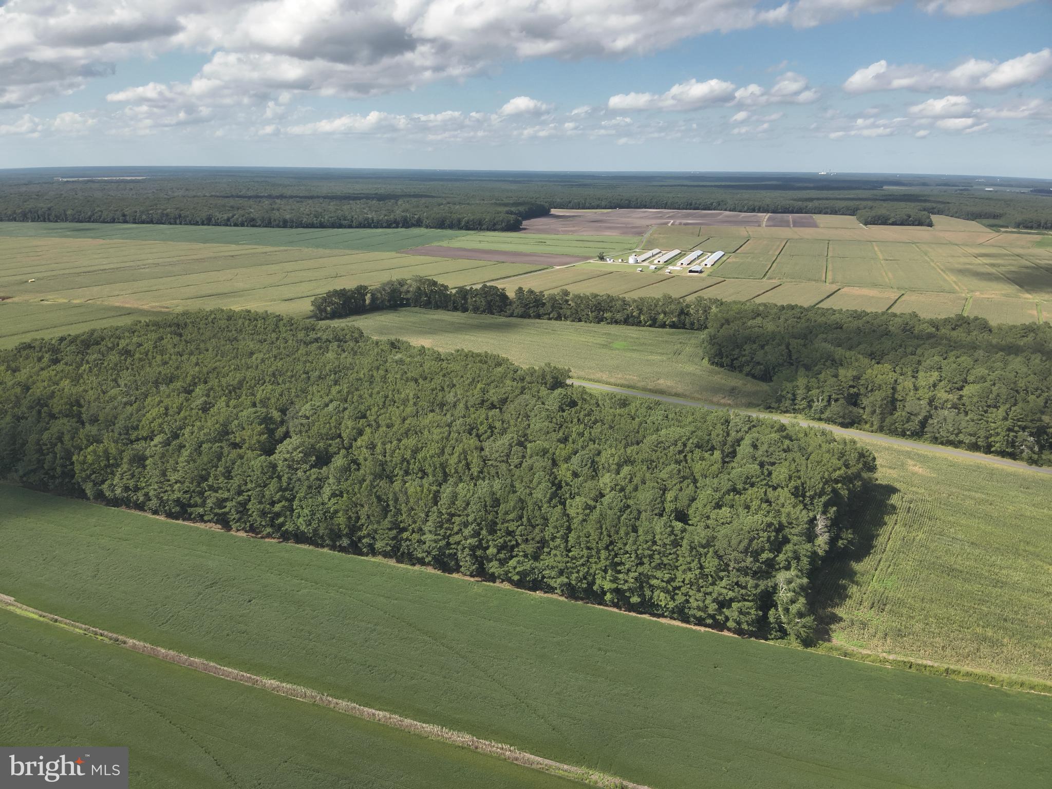 Blueberry Road Whaleyville, MD 21872 - Photo 26 of 46 a view of a lake from a yard