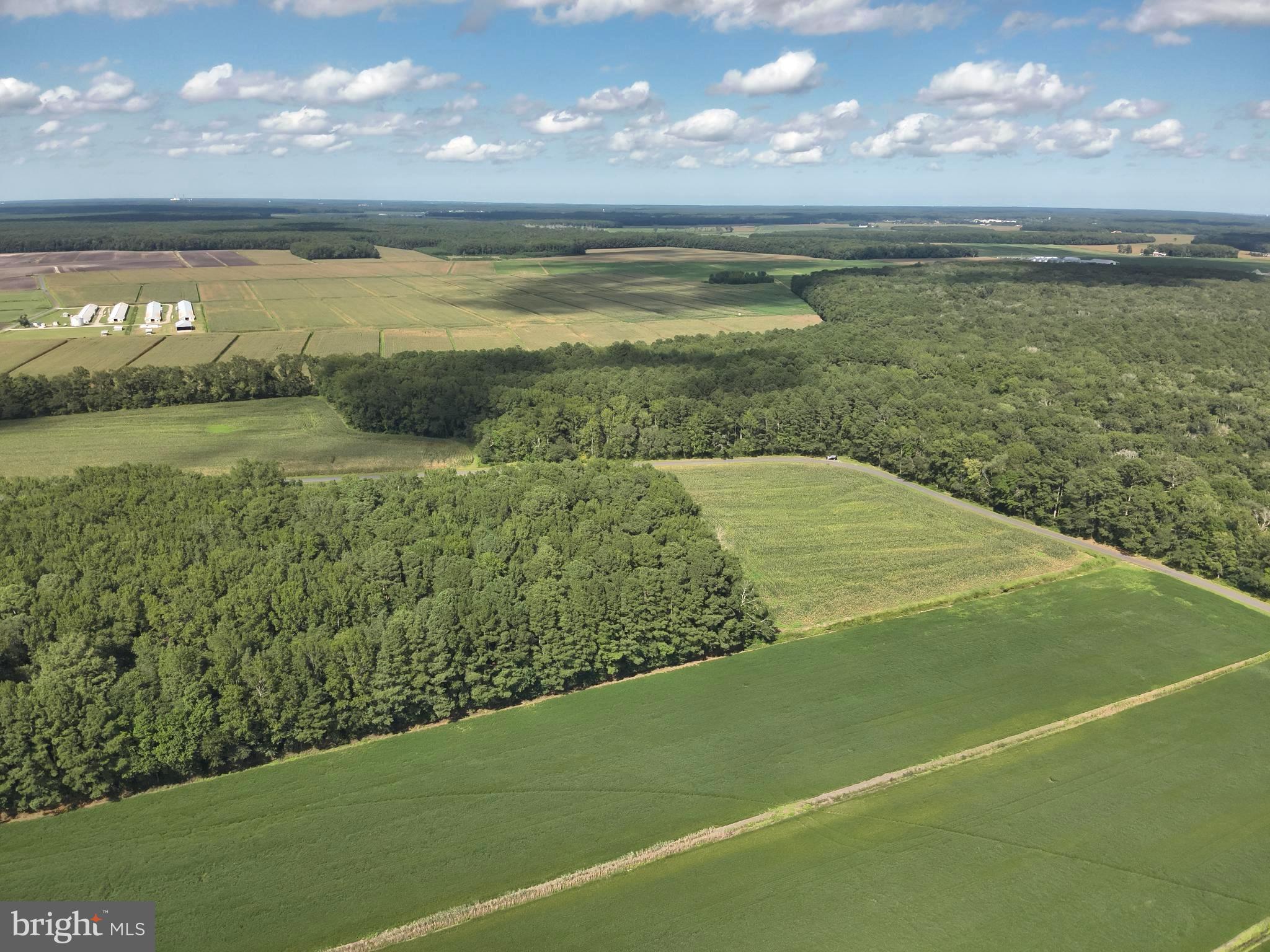 Blueberry Road Whaleyville, MD 21872 - Photo 27 of 46
