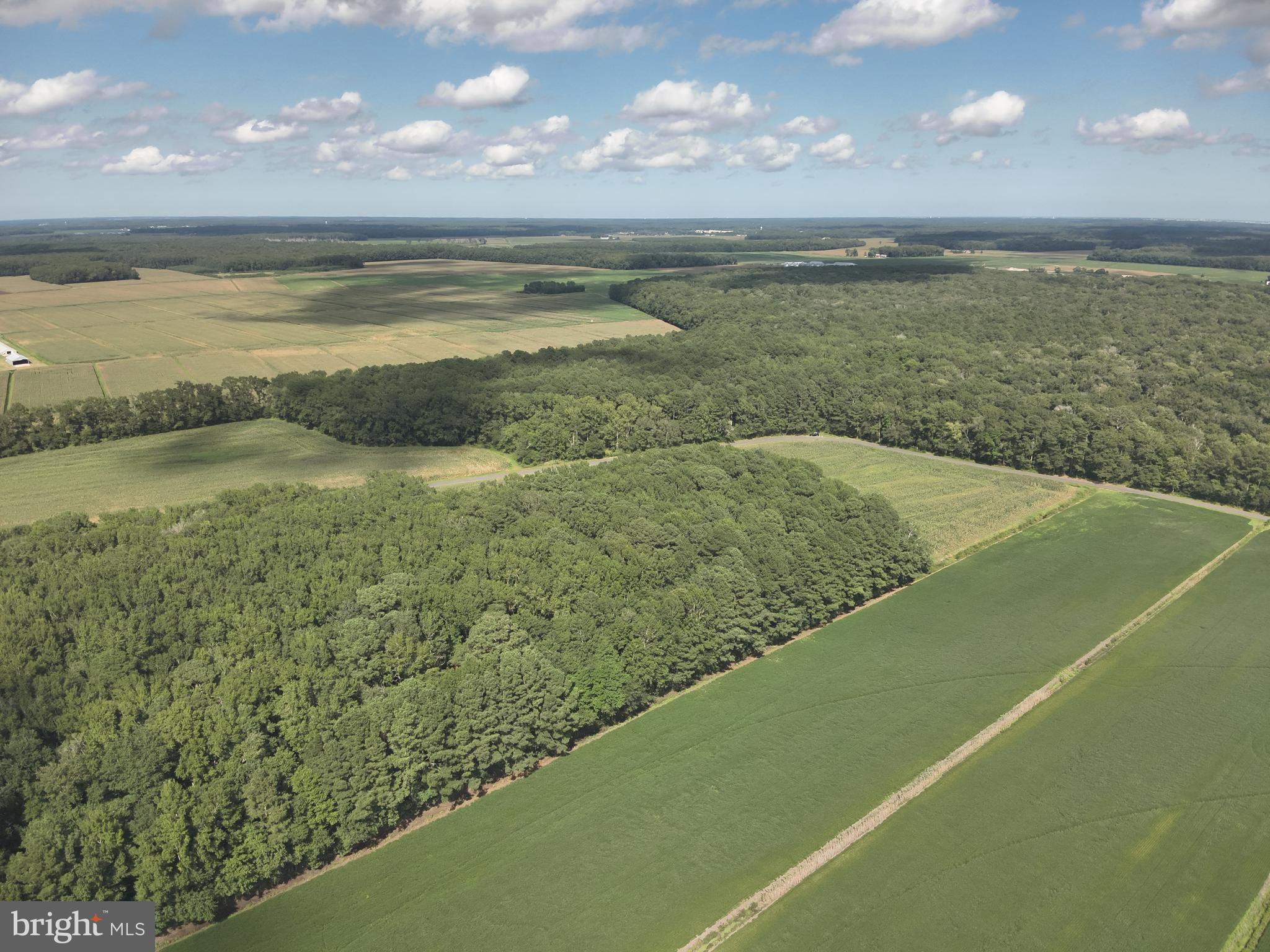 Blueberry Road Whaleyville, MD 21872 - Photo 28 of 46 a view of an ocean and beach
