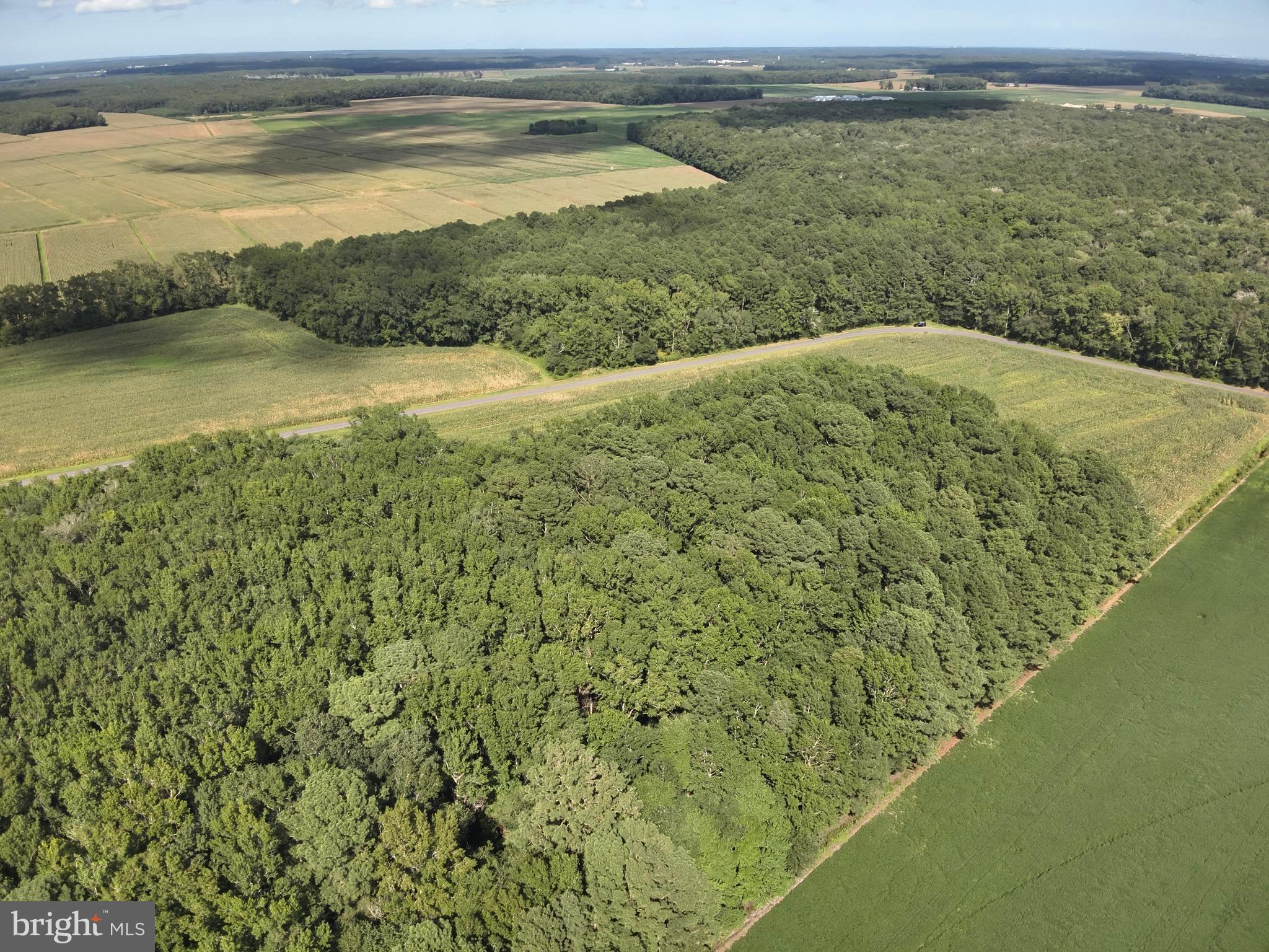 Blueberry Road Whaleyville, MD 21872 - Photo 29 of 46 a view of an ocean from a balcony