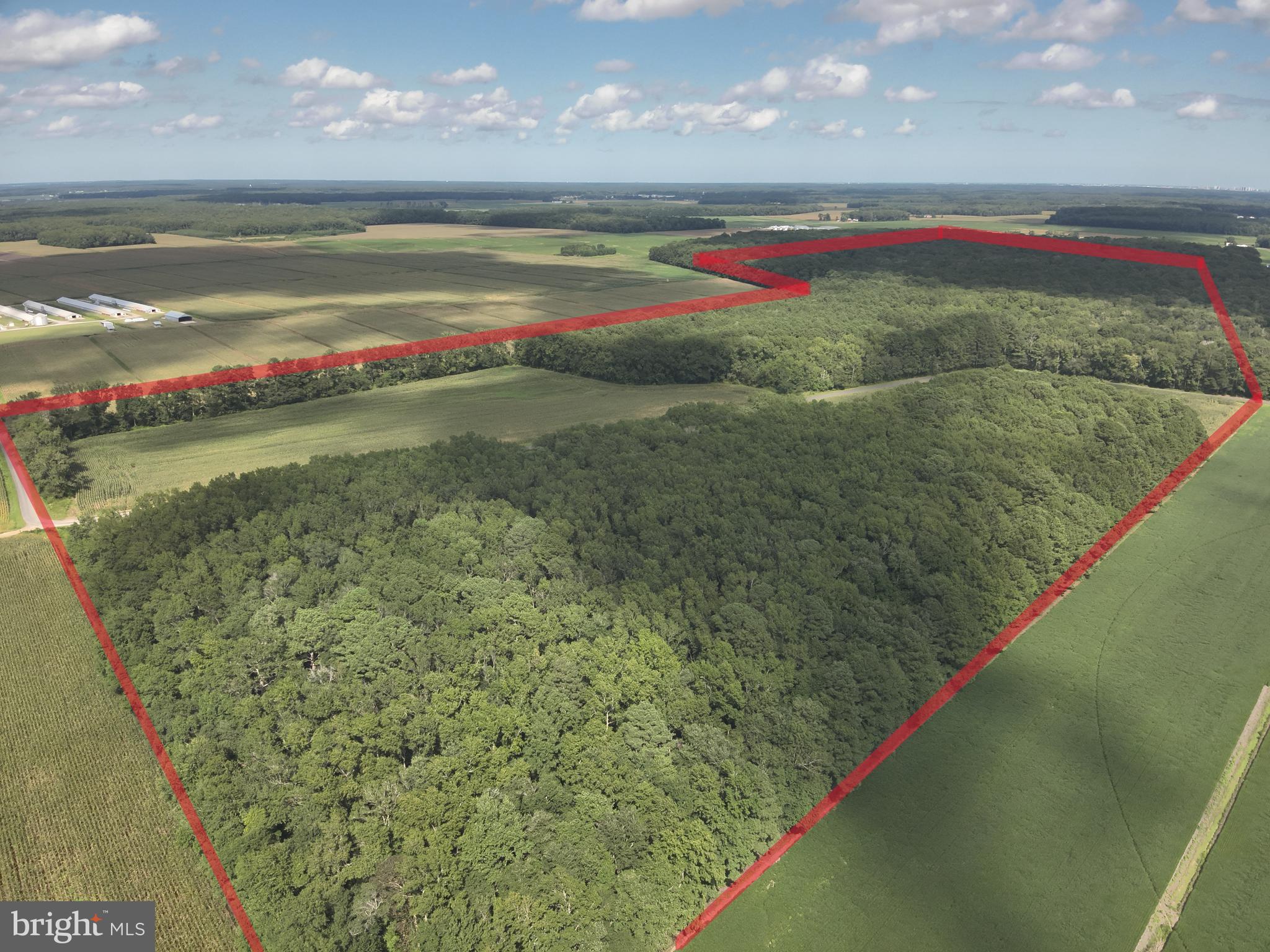 Blueberry Road Whaleyville, MD 21872 - Photo 3 of 46 a view of water heater room