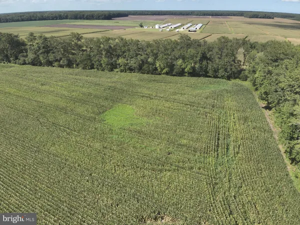 a view of a field with an ocean