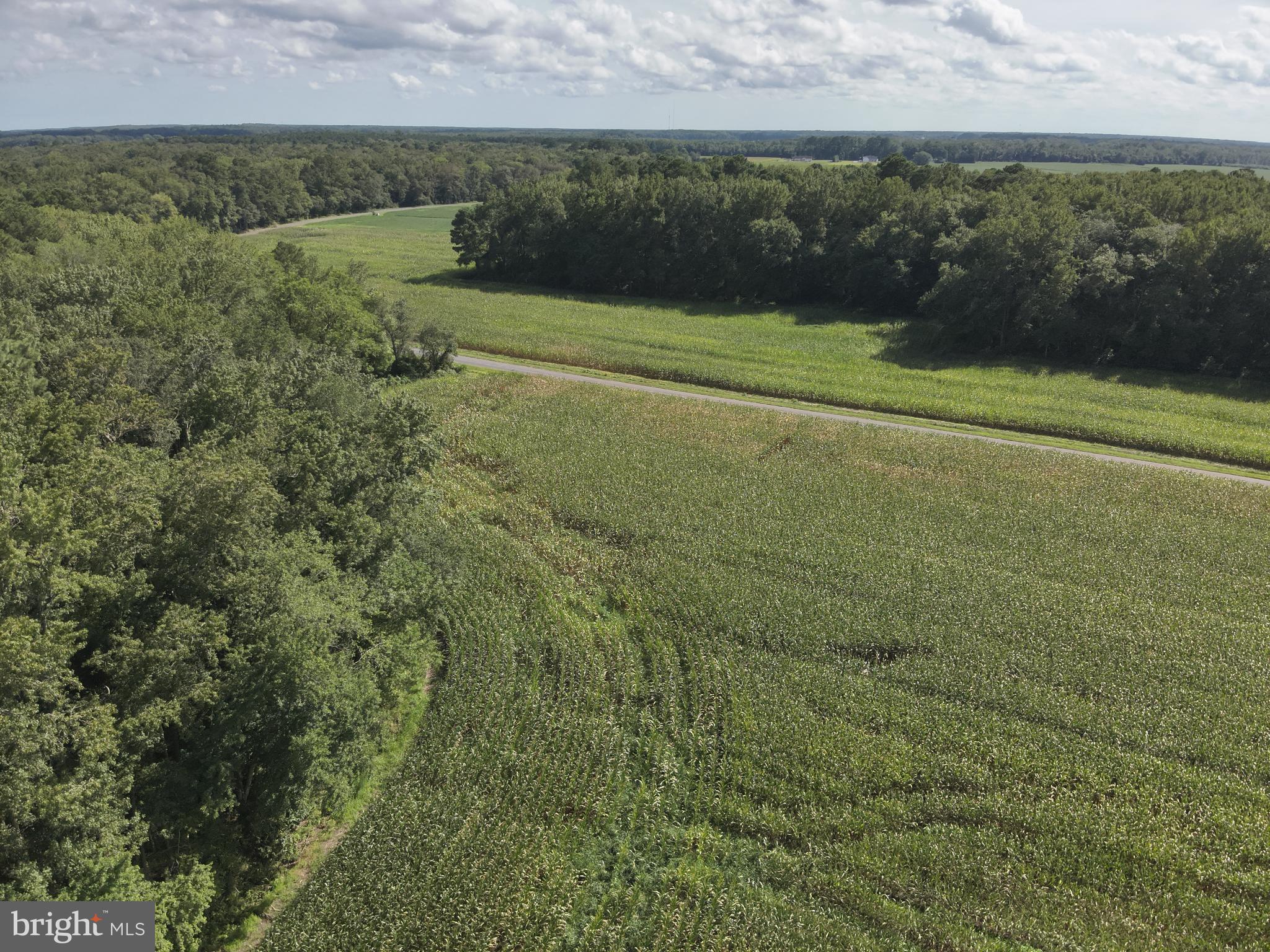Blueberry Road Whaleyville, MD 21872 - Photo 34 of 46 a view of a field with an ocean