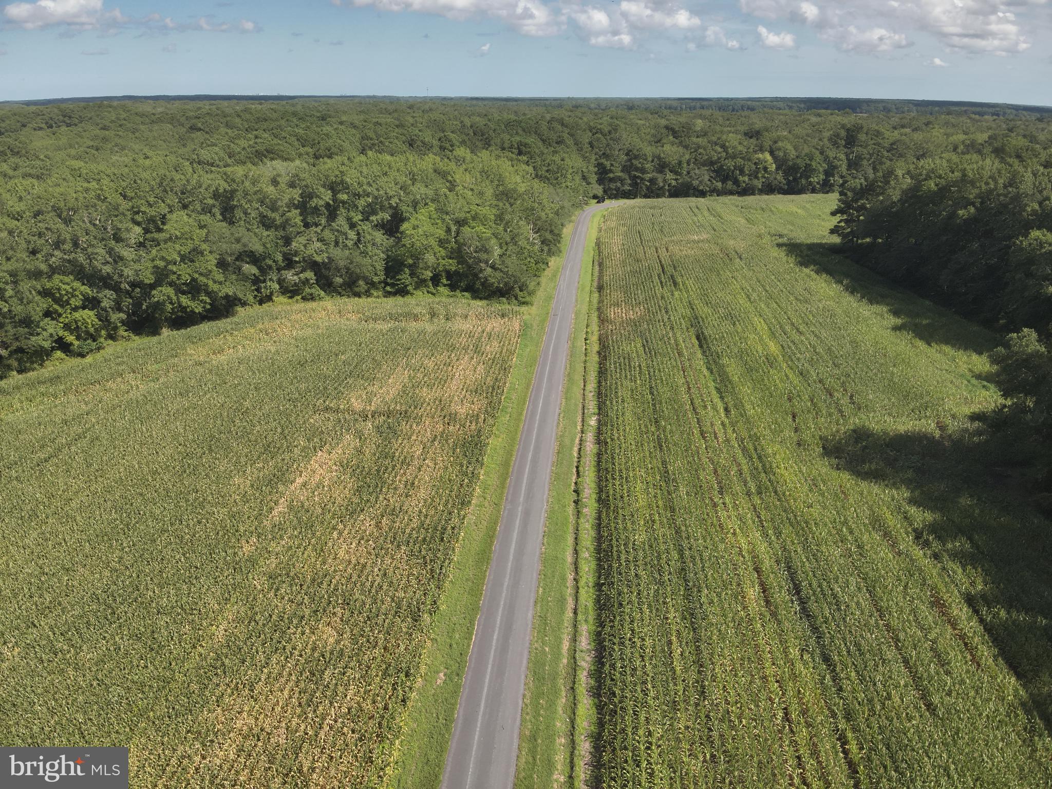 Blueberry Road Whaleyville, MD 21872 - Photo 36 of 46 a view of a lake