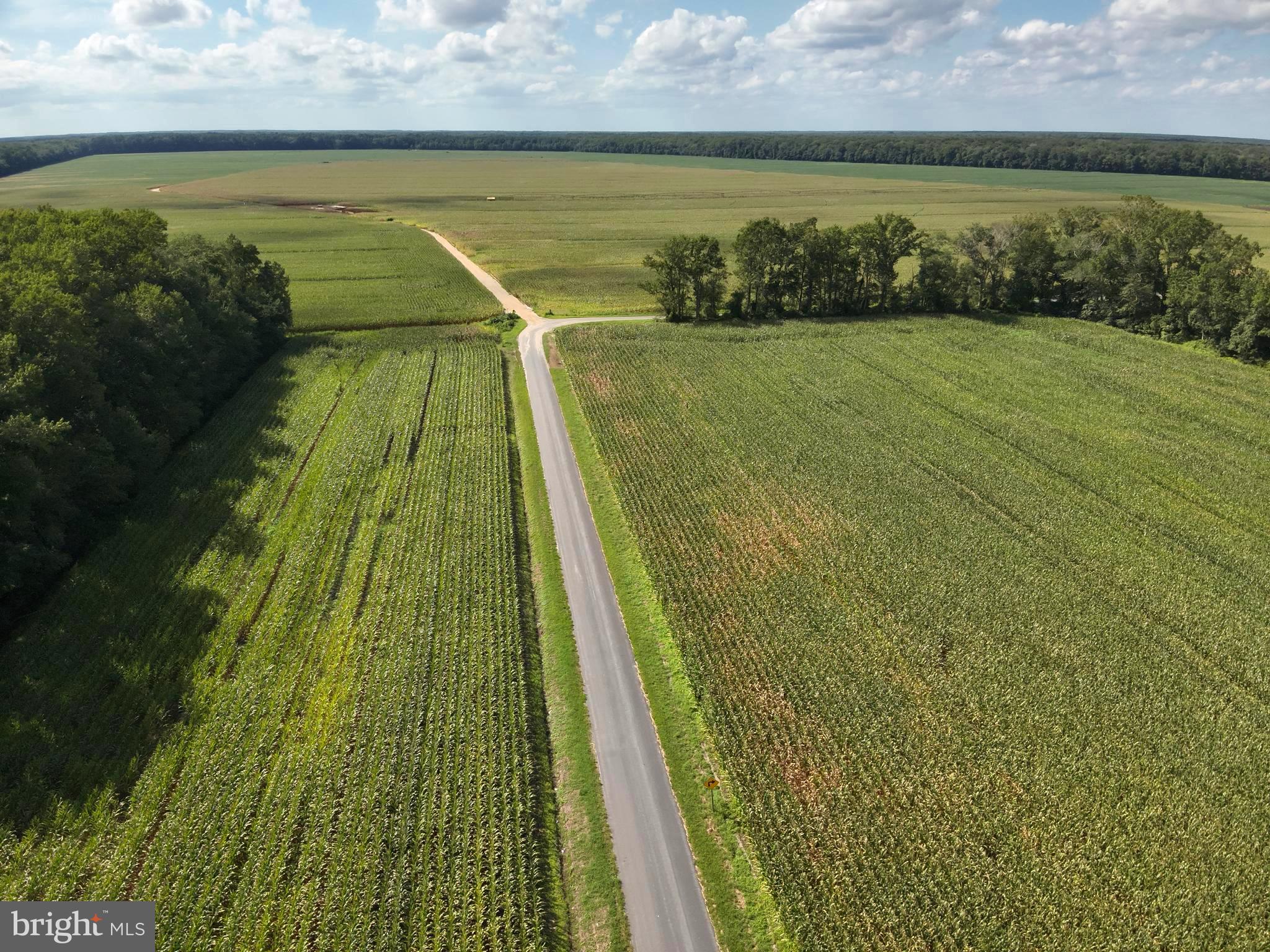 Blueberry Road Whaleyville, MD 21872 - Photo 37 of 46 a view of a lake with a outdoor space