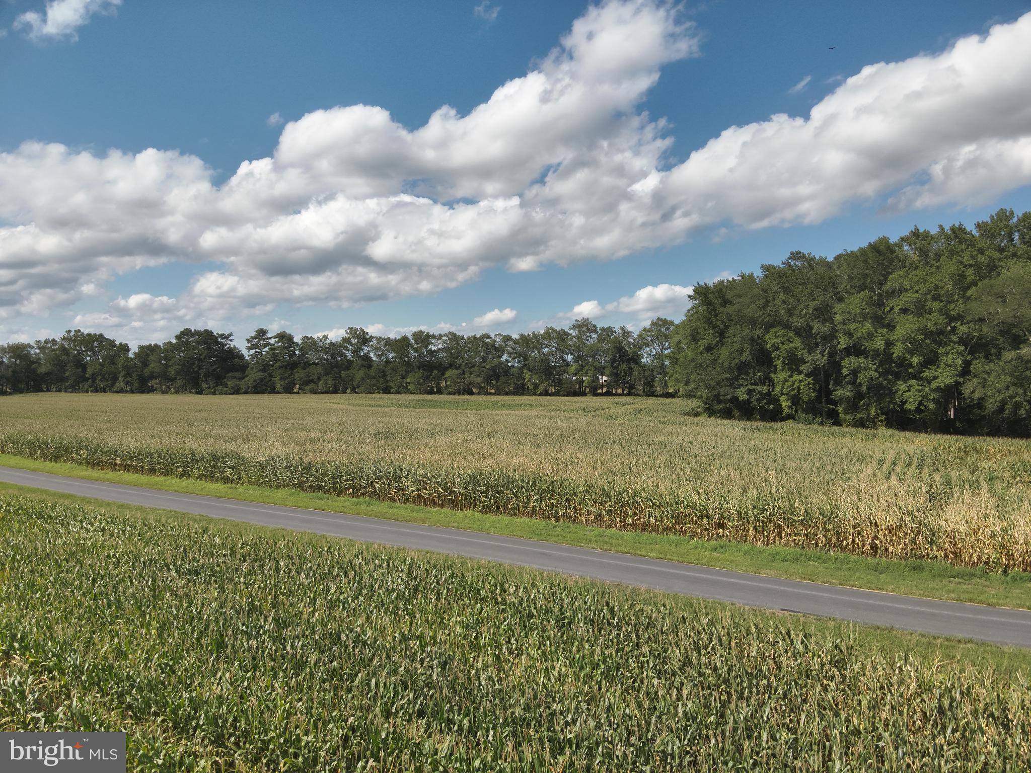 Blueberry Road Whaleyville, MD 21872 - Photo 39 of 46 a view of a lake with a big yard