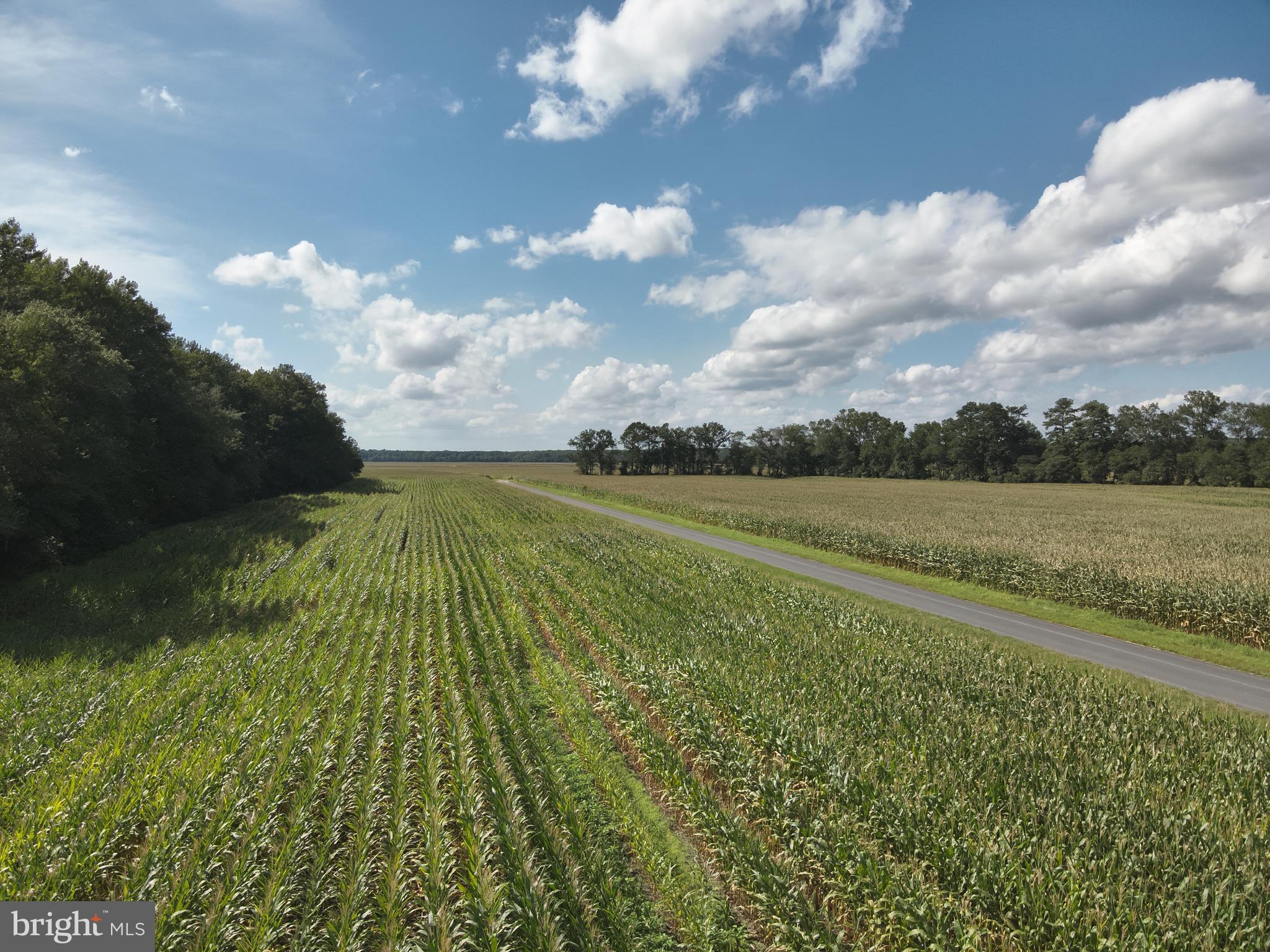 Blueberry Road Whaleyville, MD 21872 - Photo 40 of 46 a view of an outdoor space and a lake view