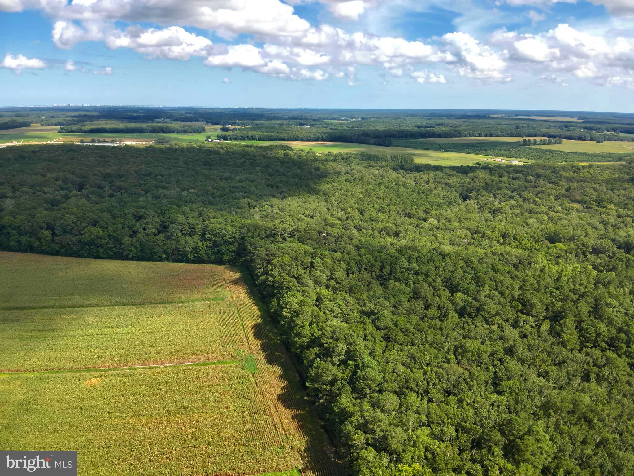 Blueberry Road Whaleyville, MD 21872 - Photo 4 of 46 a view of an ocean and beach