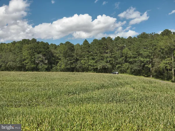 $1,100,000 | Blueberry Road, Whaleyville, MD 21872