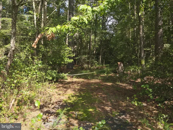 $1,100,000 | Blueberry Road, Whaleyville, MD 21872
