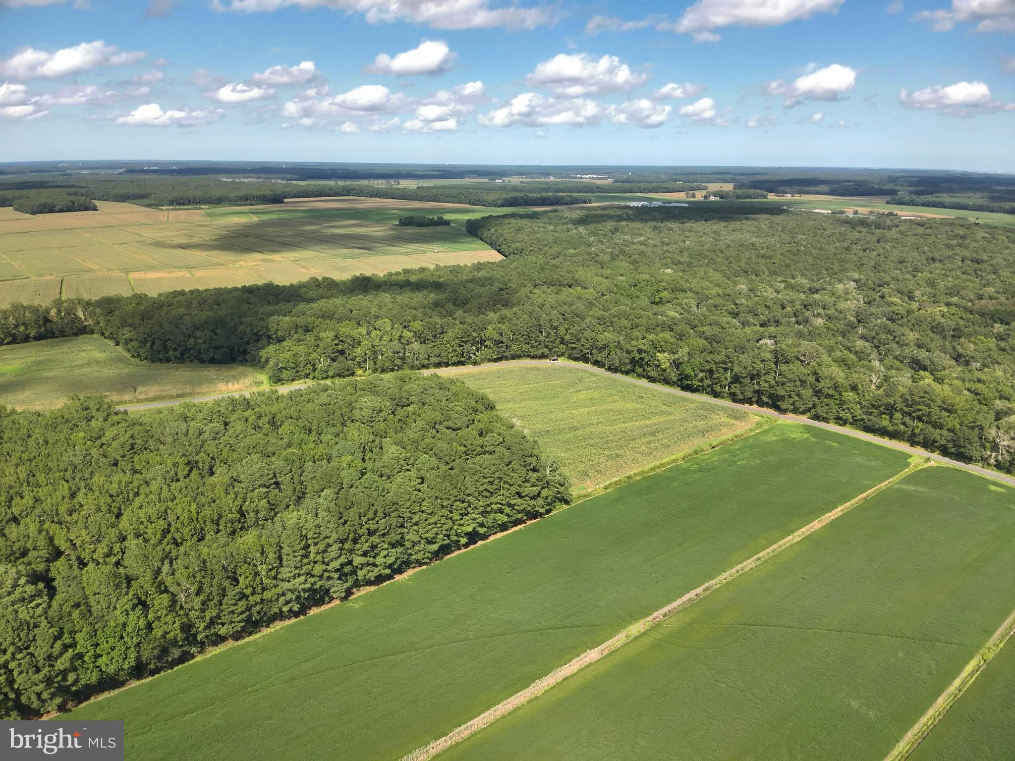 Blueberry Road Whaleyville, MD 21872 - Photo 5 of 46 a view of an ocean and beach