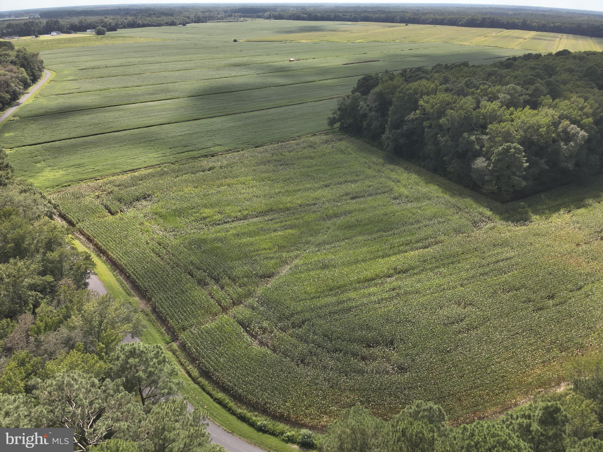 Blueberry Road Whaleyville, MD 21872 - Photo 7 of 46 a bathroom with a outdoor space