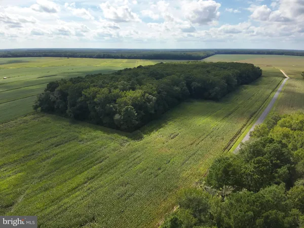 a view of an ocean from a balcony