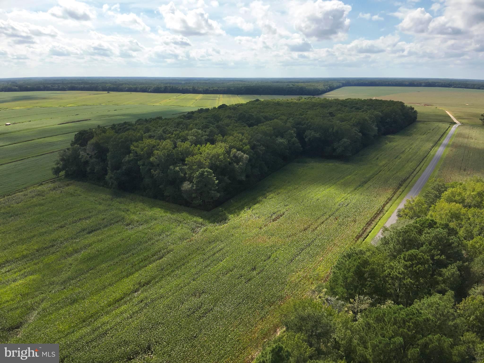 Blueberry Road Whaleyville, MD 21872 - Photo 8 of 46 a view of an ocean from a balcony