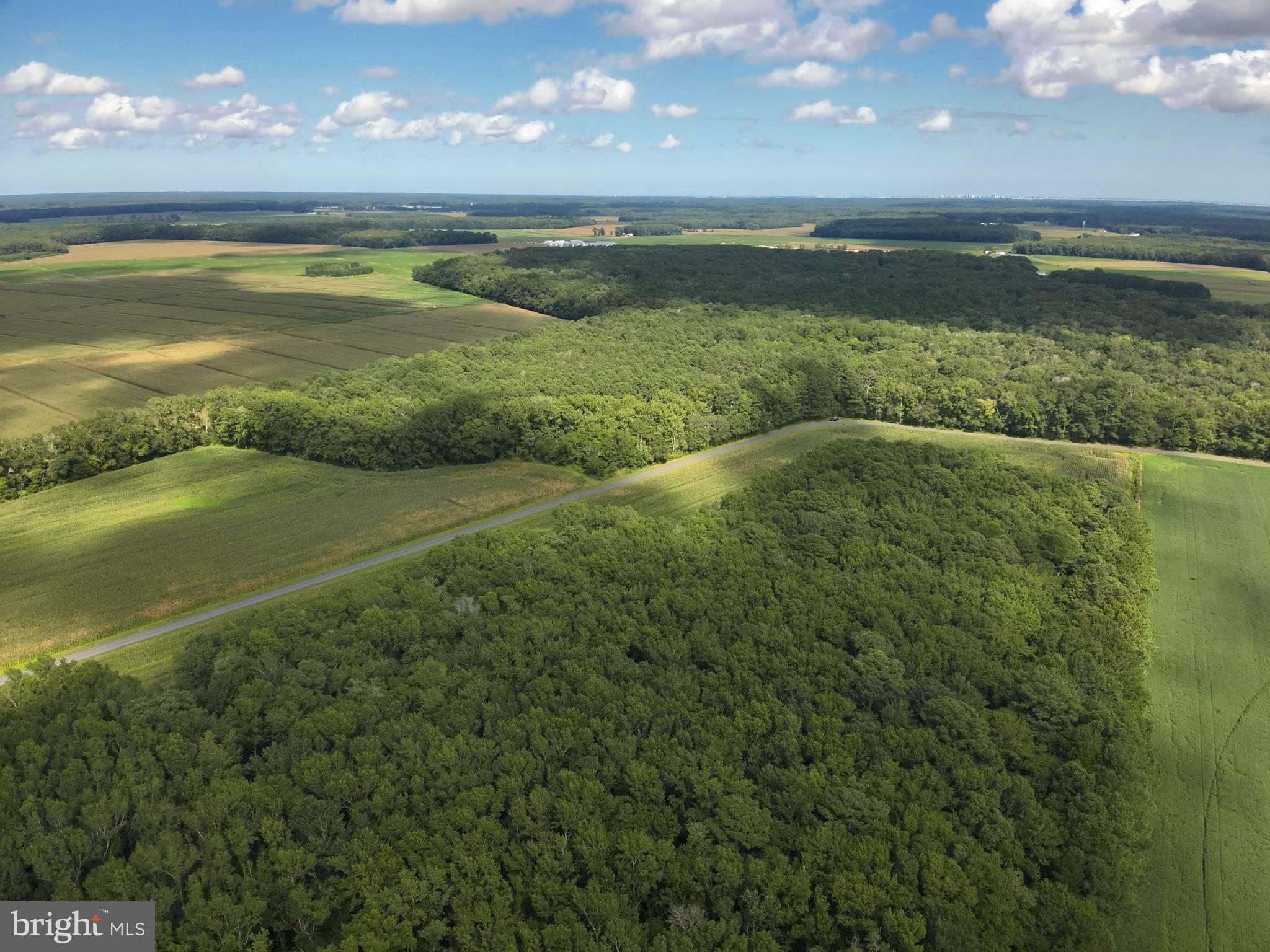 Blueberry Road Whaleyville, MD 21872 - Photo 9 of 46 a view of an ocean and beach