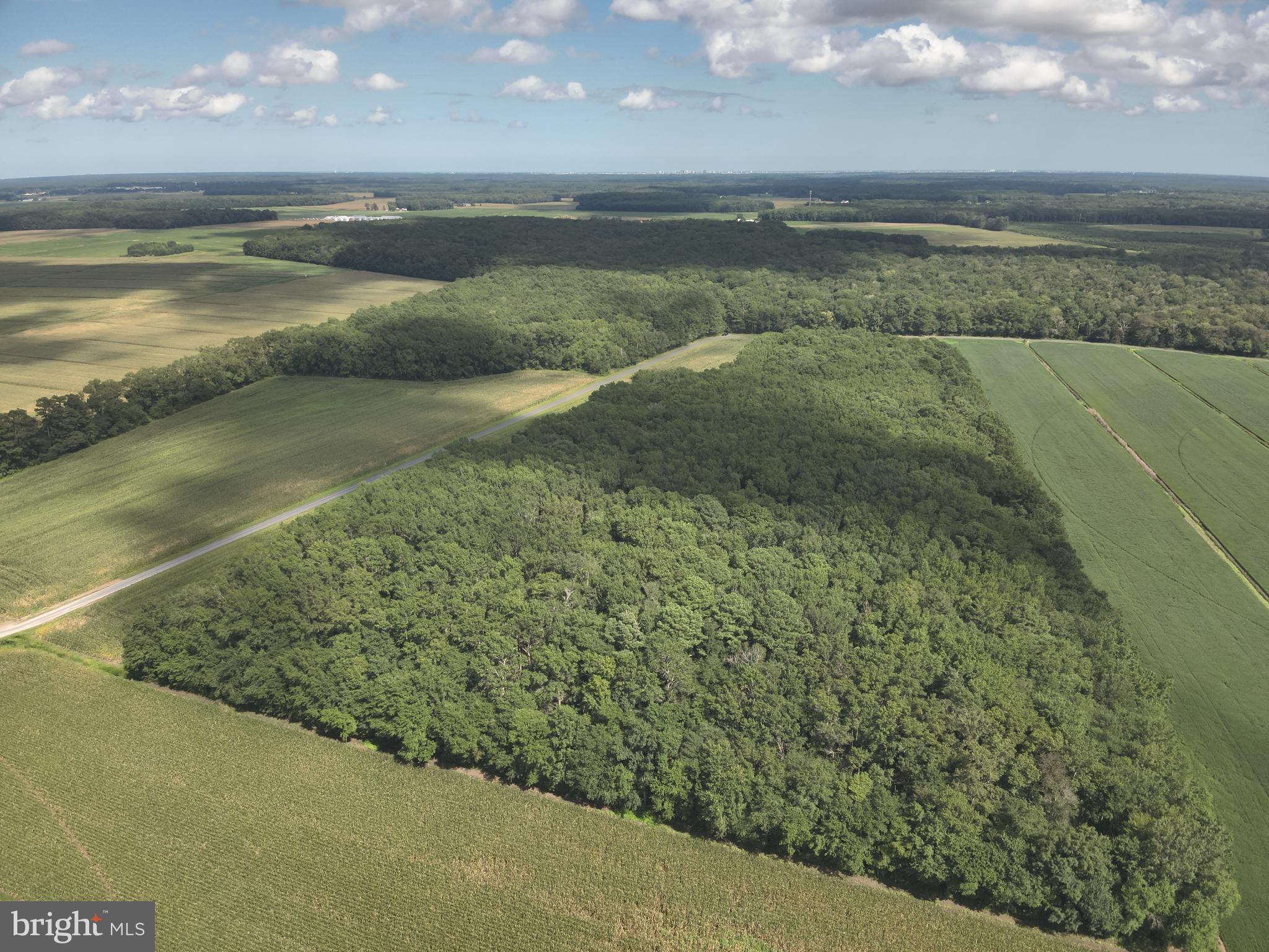 Blueberry Road Whaleyville, MD 21872 - Photo 10 of 46 a view of an ocean and beach