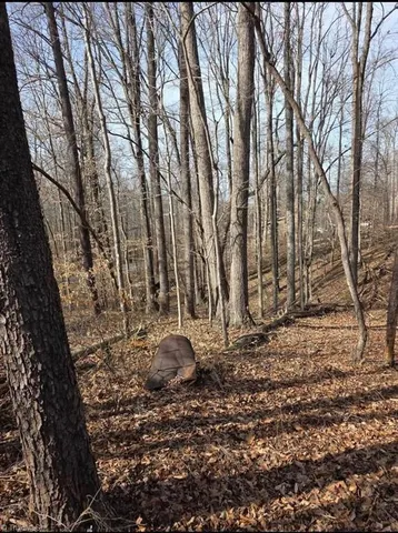 $35,000 | 1065 Cedar Lane, Reidsville, NC 27320