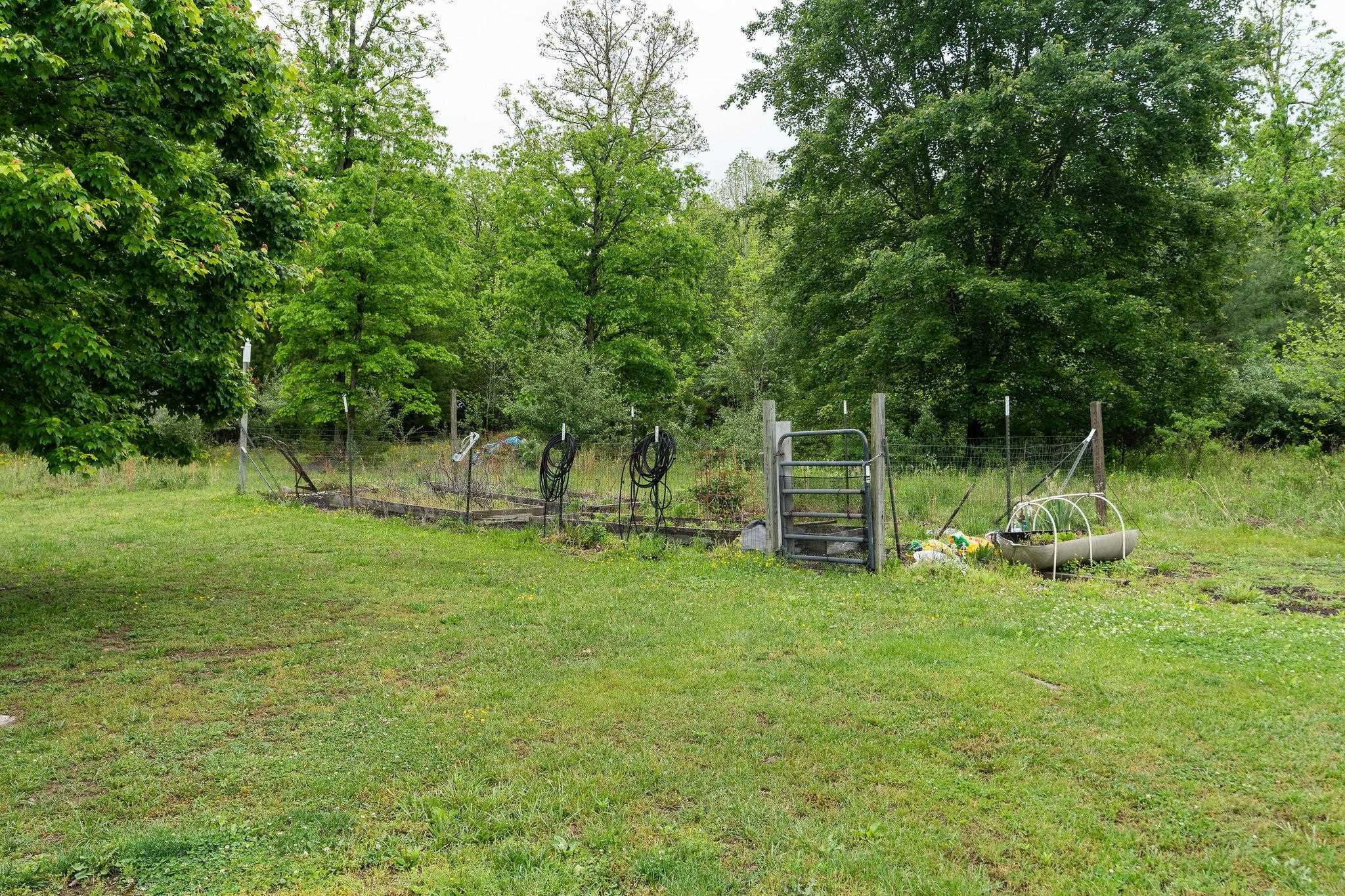 516 Estaline Valley Road Craigsville, VA 24430 - Photo 57 of 75 a view of a tree in a yard