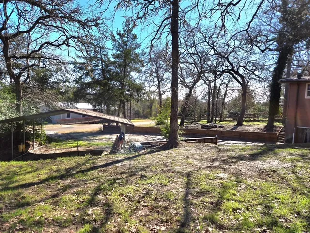 a view of a park with large trees