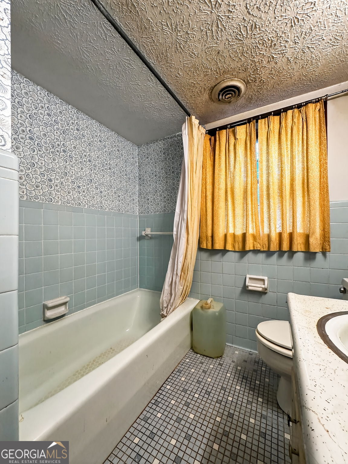 2411 Williamson Zebulon Road Williamson, GA 30292 - Photo 33 of 46