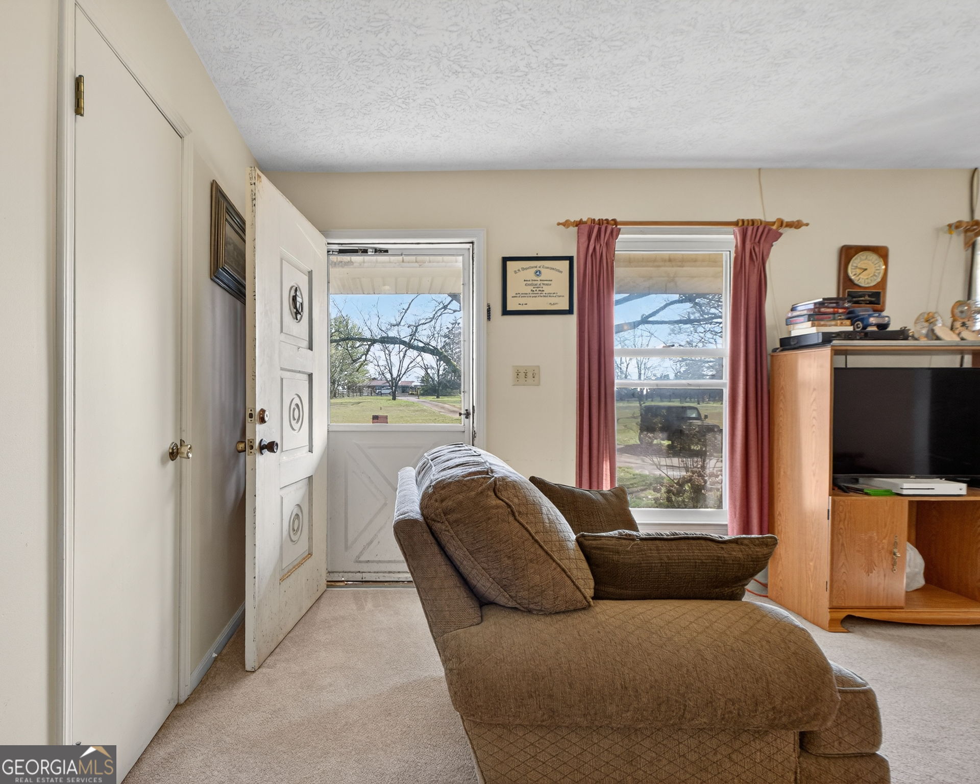 2411 Williamson Zebulon Road Williamson, GA 30292 - Photo 5 of 46